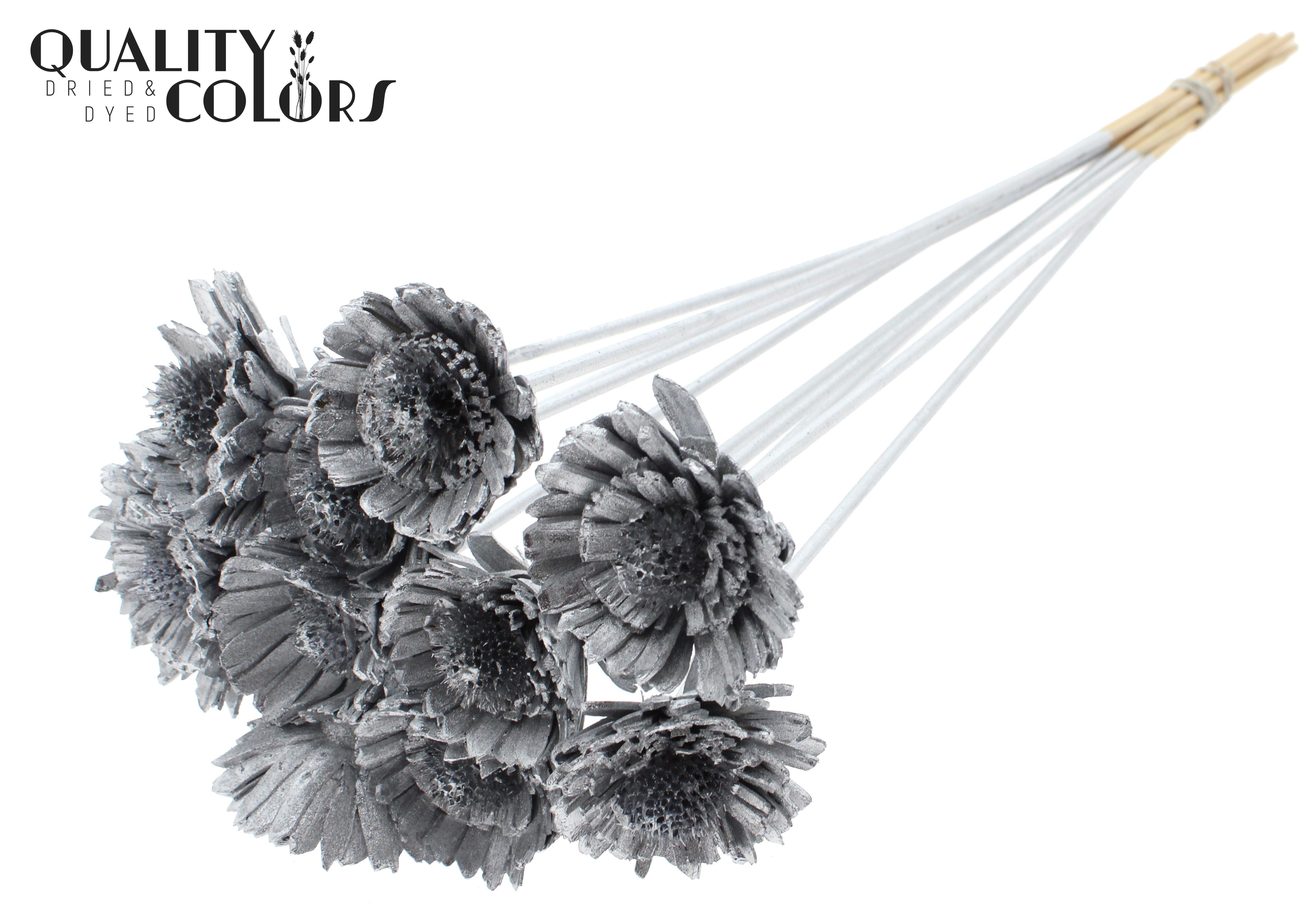Shola Daisy Sunflower Silver 50cm