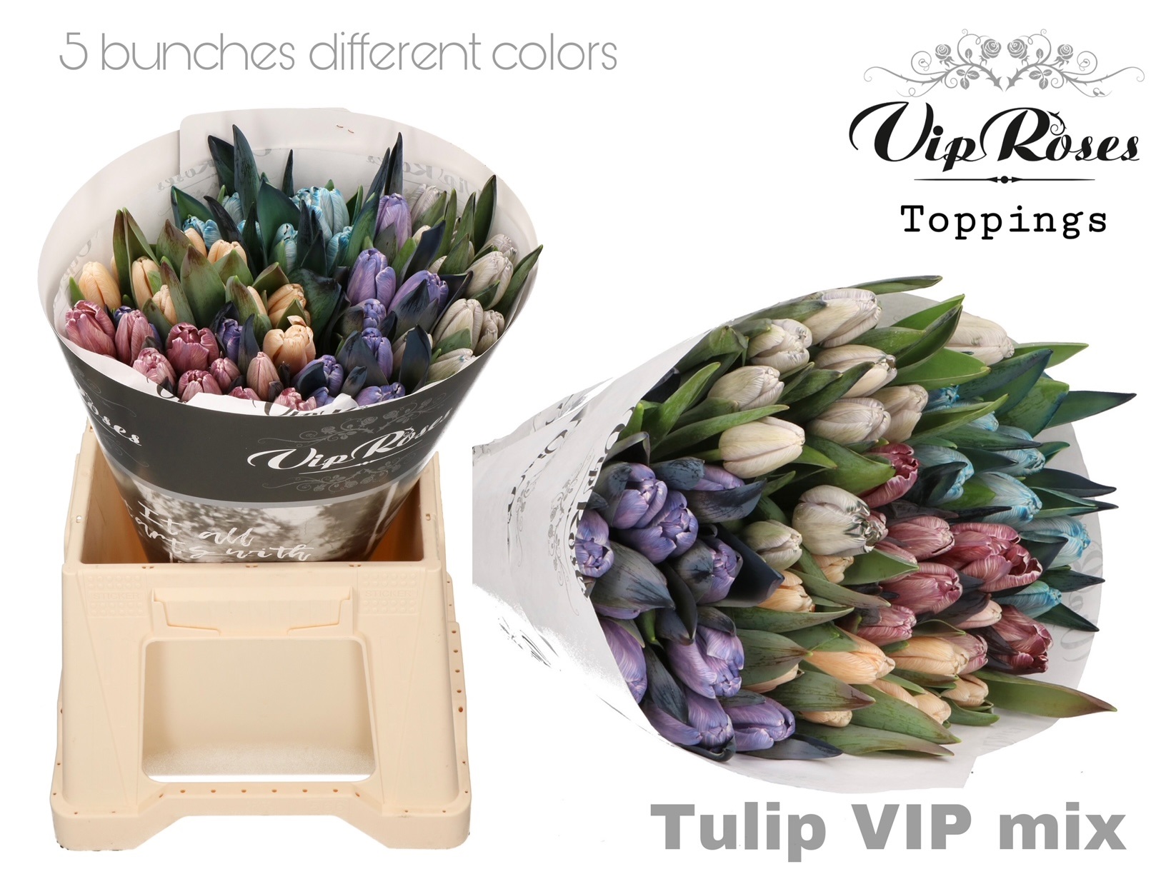 Tulipa Vip Mix 40cm 38gram