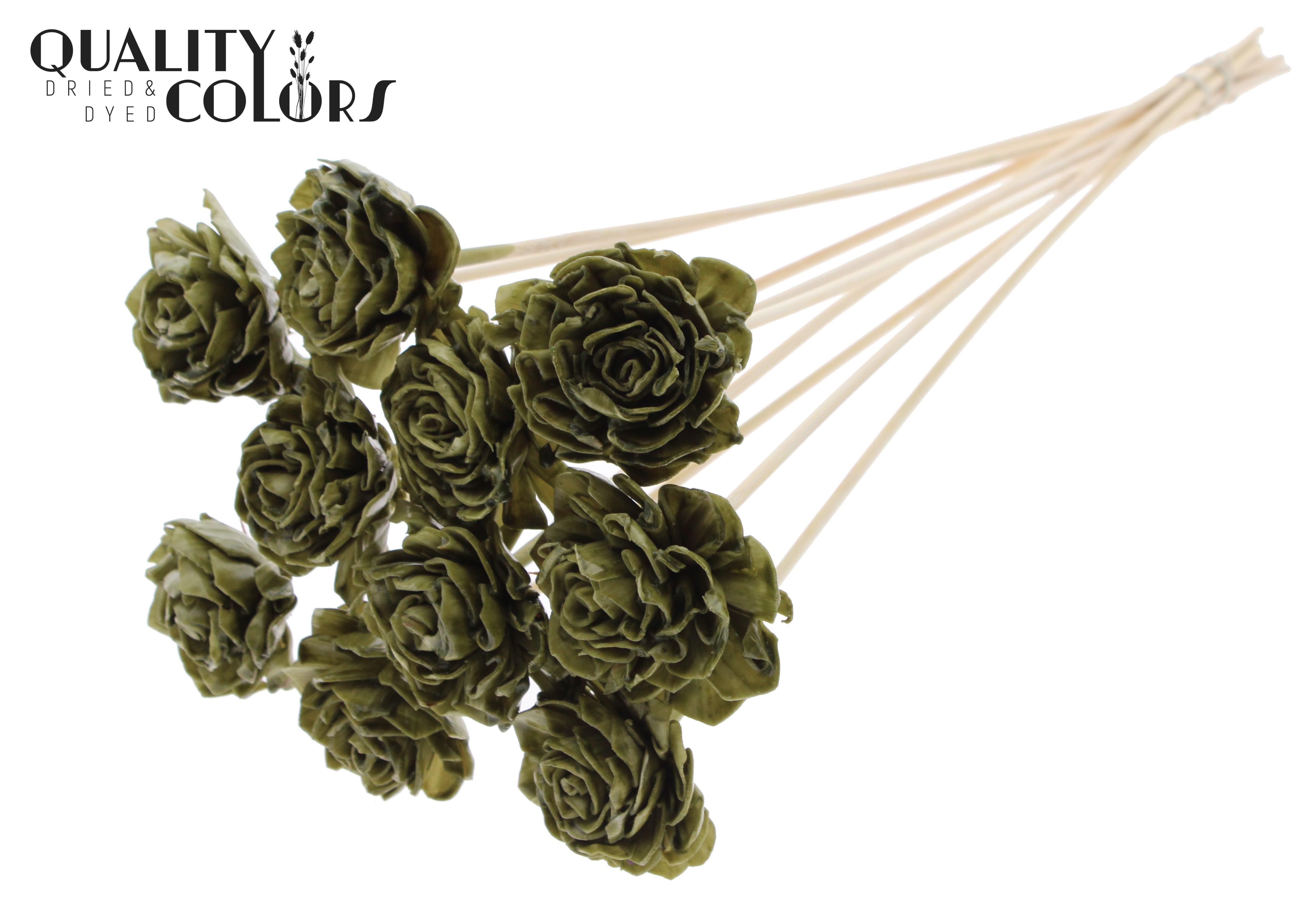 Shola Dhaliya Wax Olive 50cm