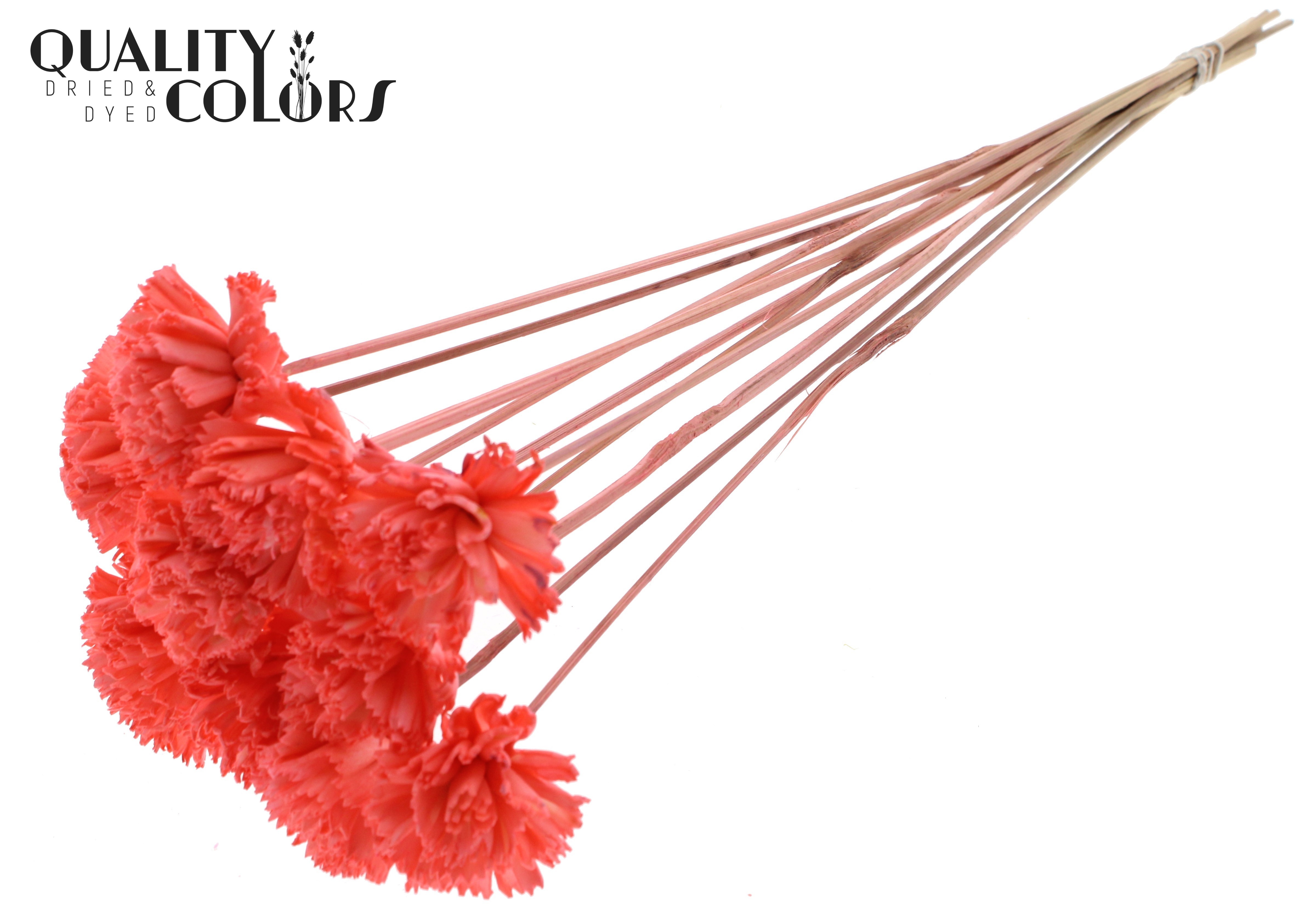 Shola Karnish Flower Coral 50cm