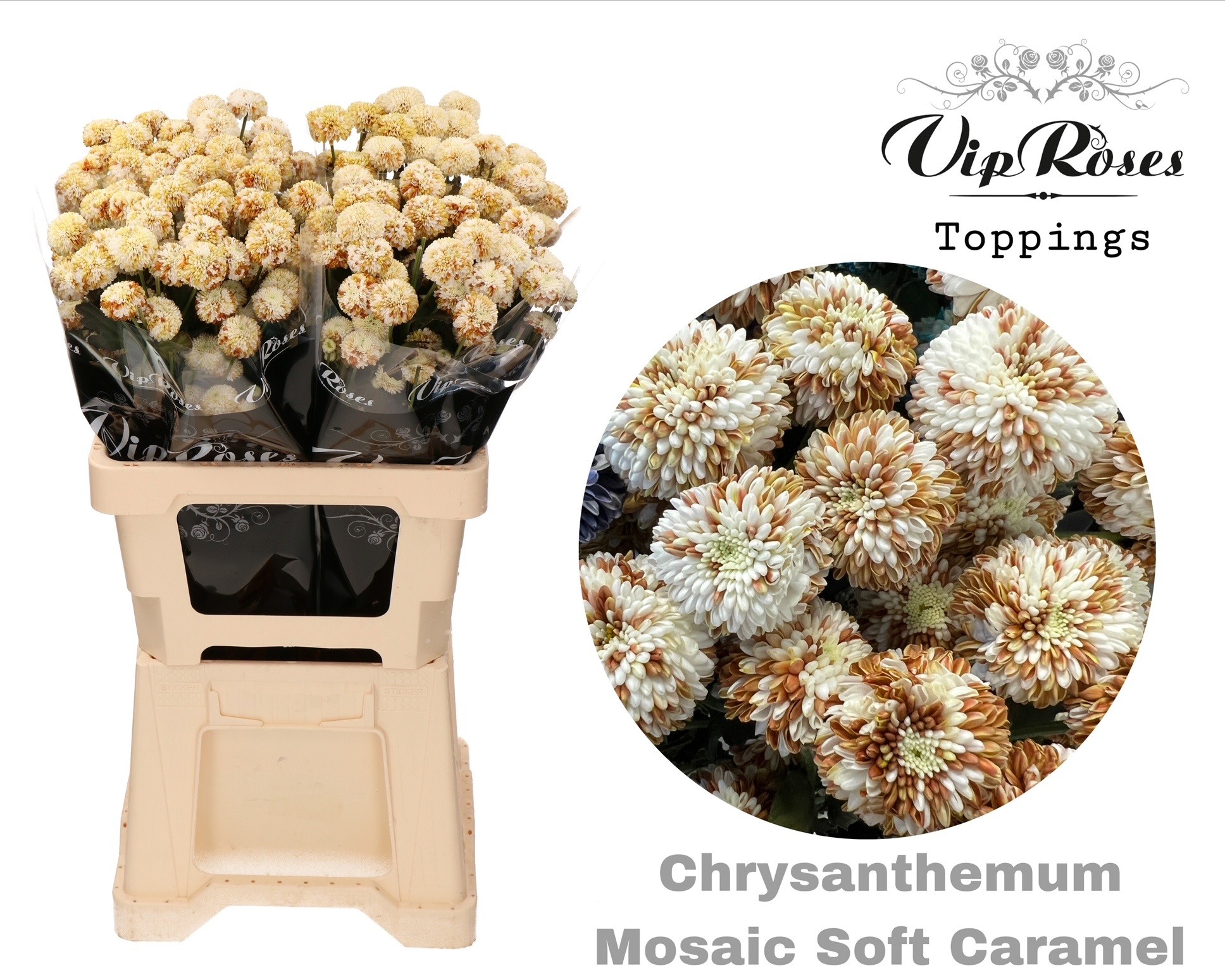 Chr T Mosaic Soft Caramel 60 cm