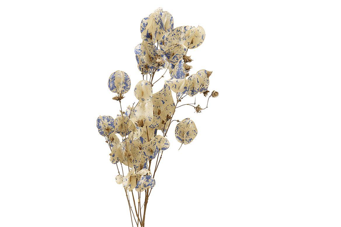 Dried Artz Bougainvillea Matisse Bunch