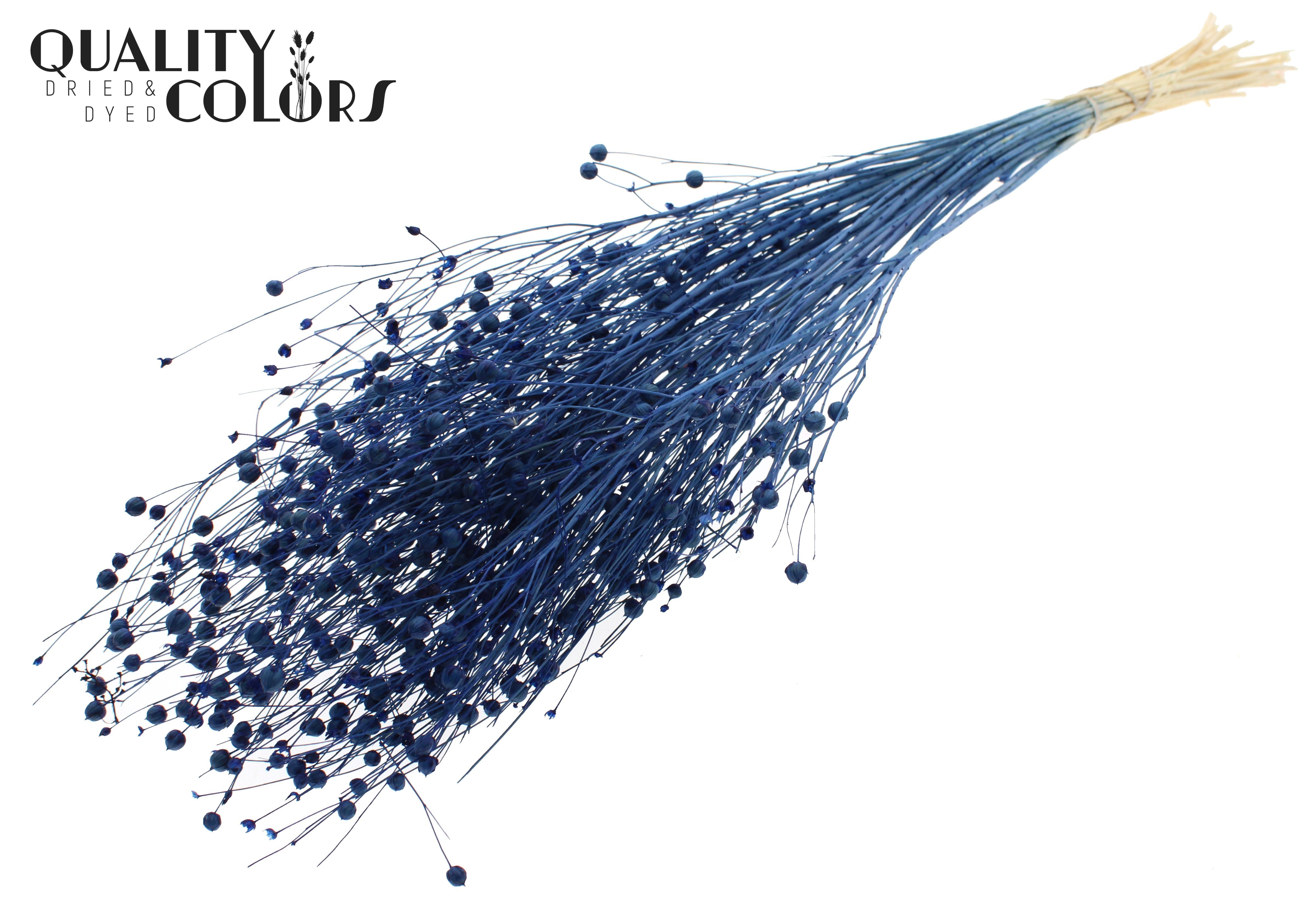 Lino Flax Intense Blue Per Bunch 70cm