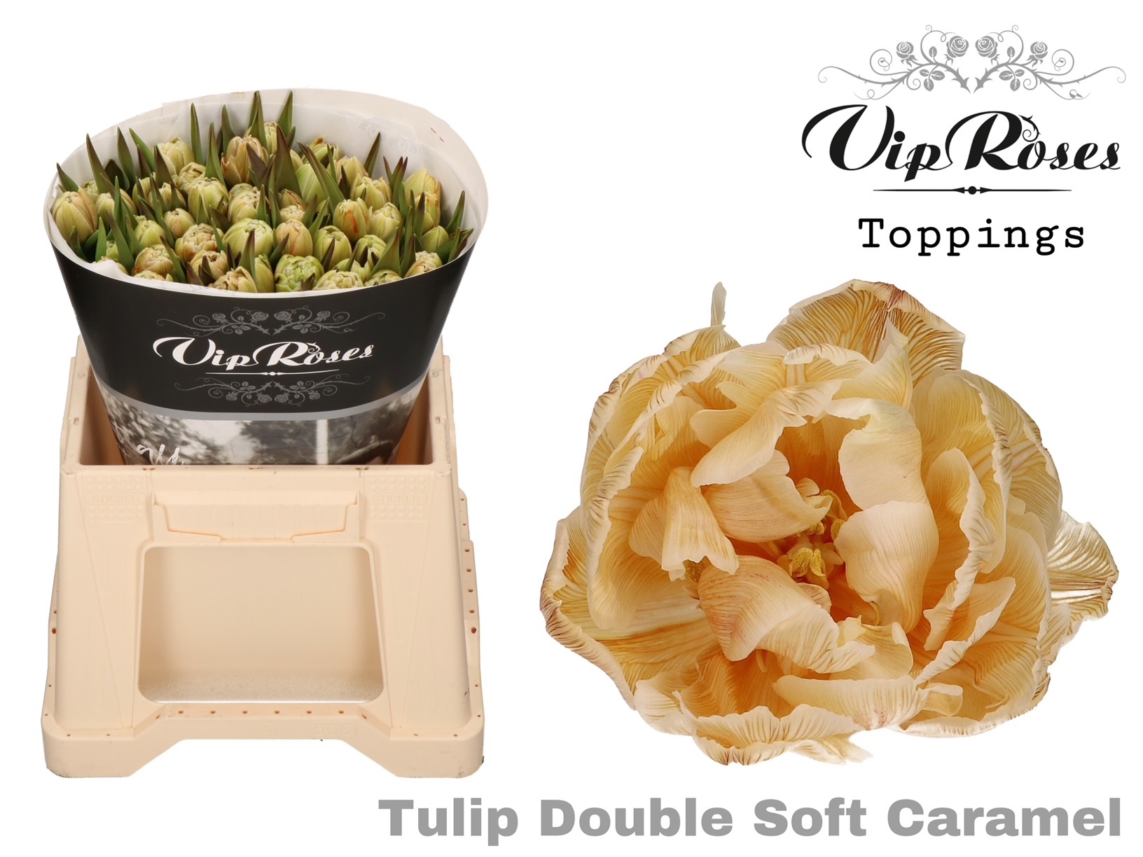 Tu Du Double Soft Caramel 38 cm