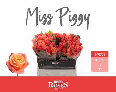 Rosa Miss Piggy 40cm
