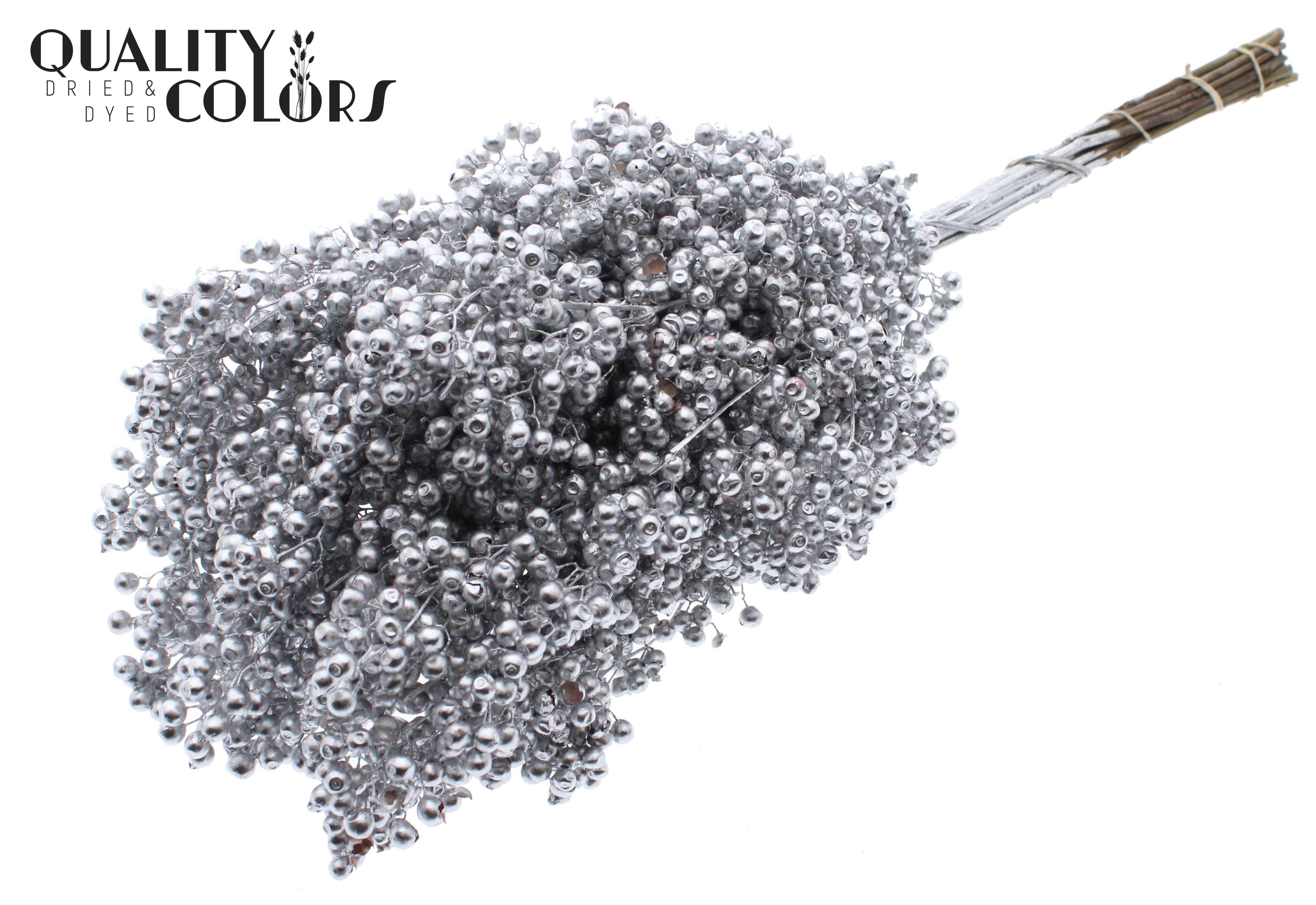 Schinus Mollis Silver Per Bunch
