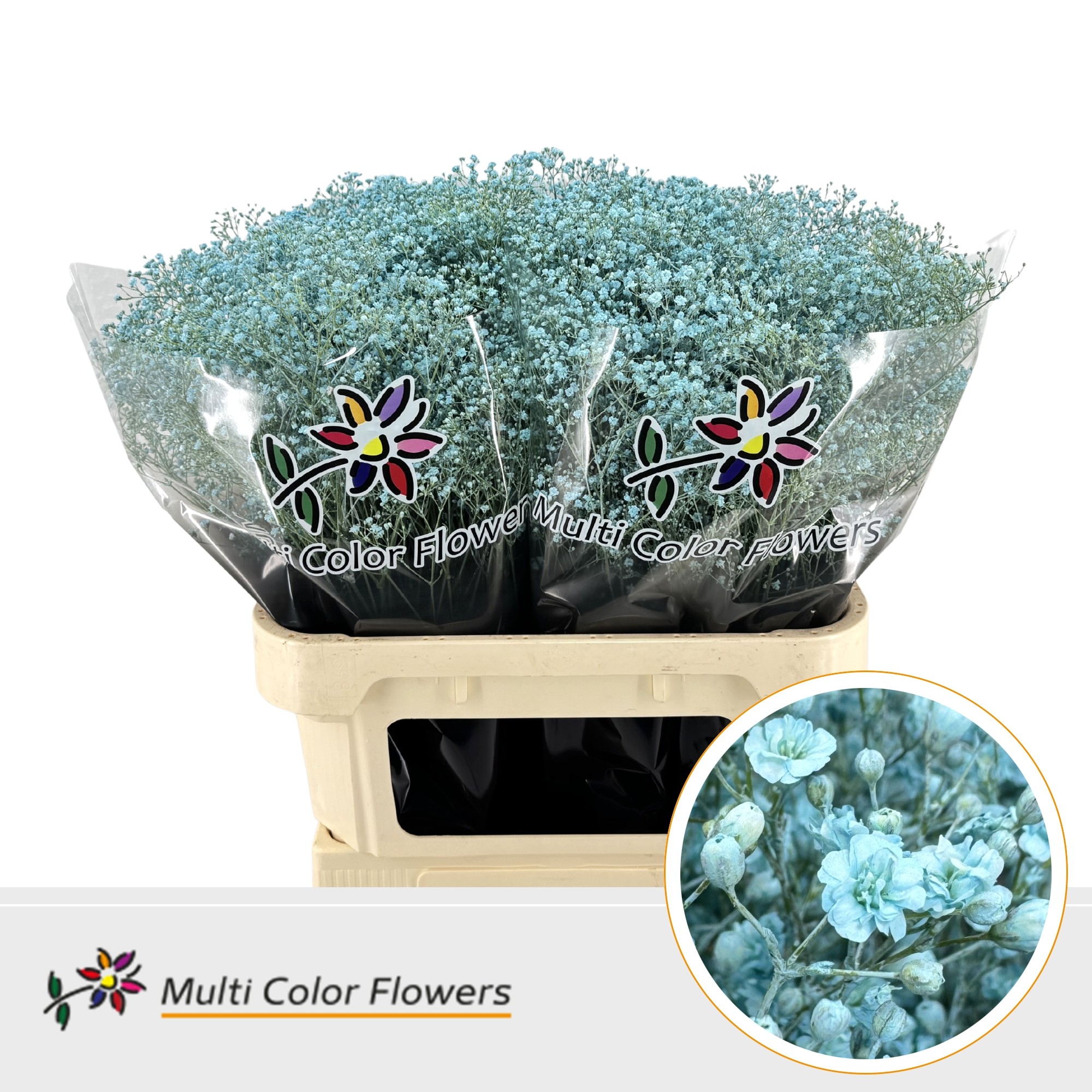 Gypsophila Painted Million Star Light Blue 80cm