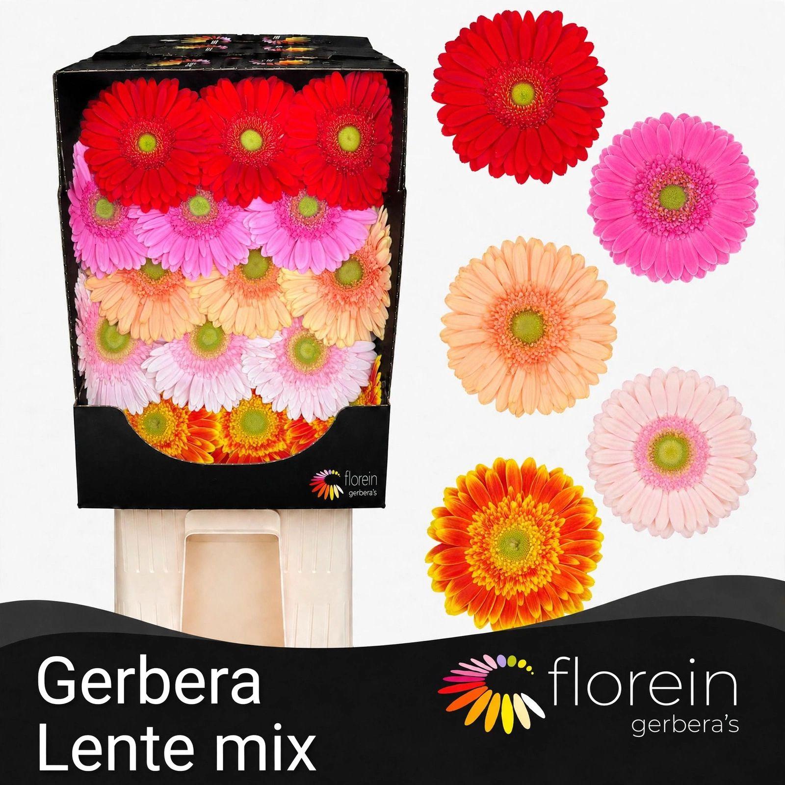 Ge Gr Mix Diamond Lente Mix 45