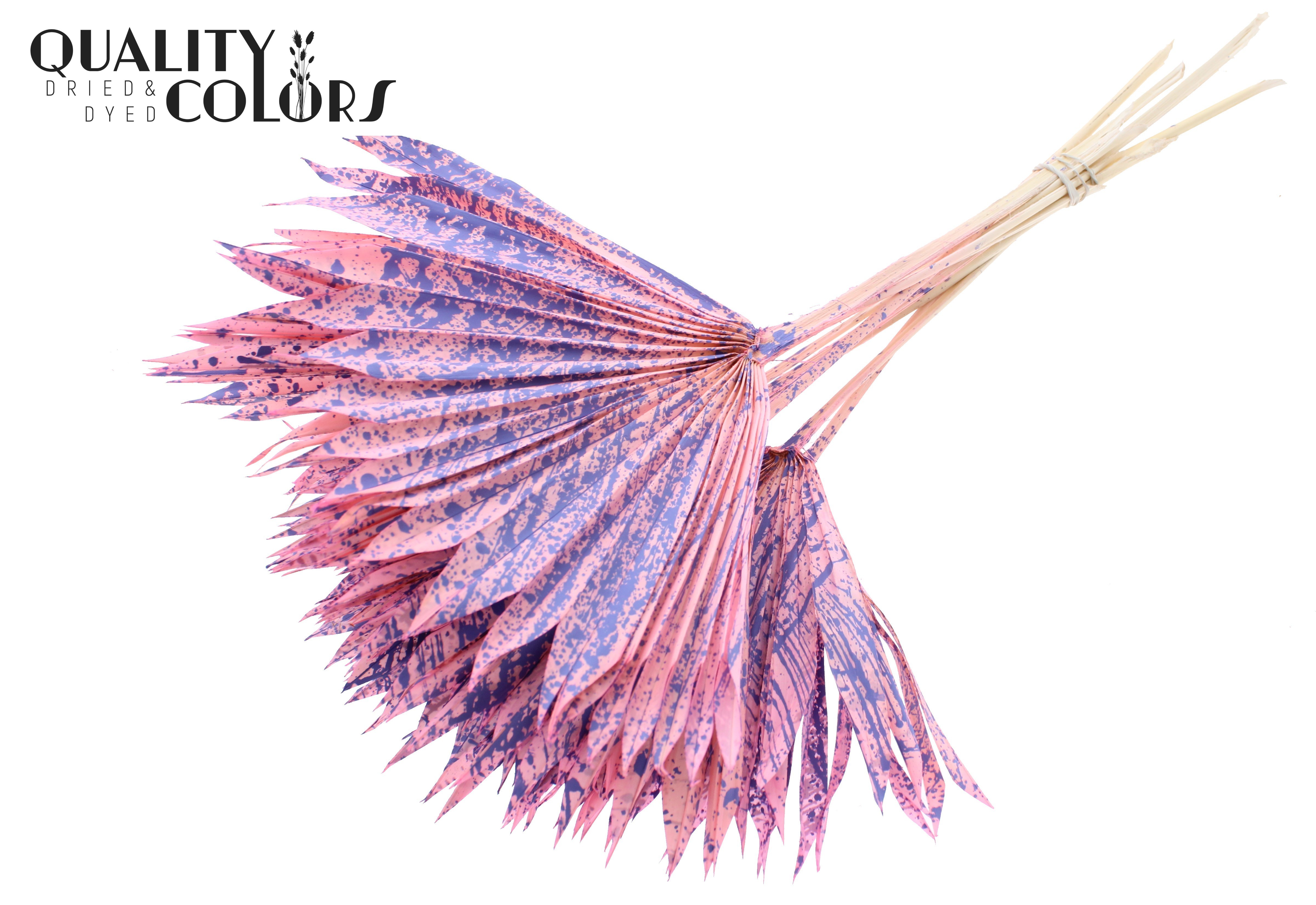 Palm Sun Splashed Pink Milka 50cm