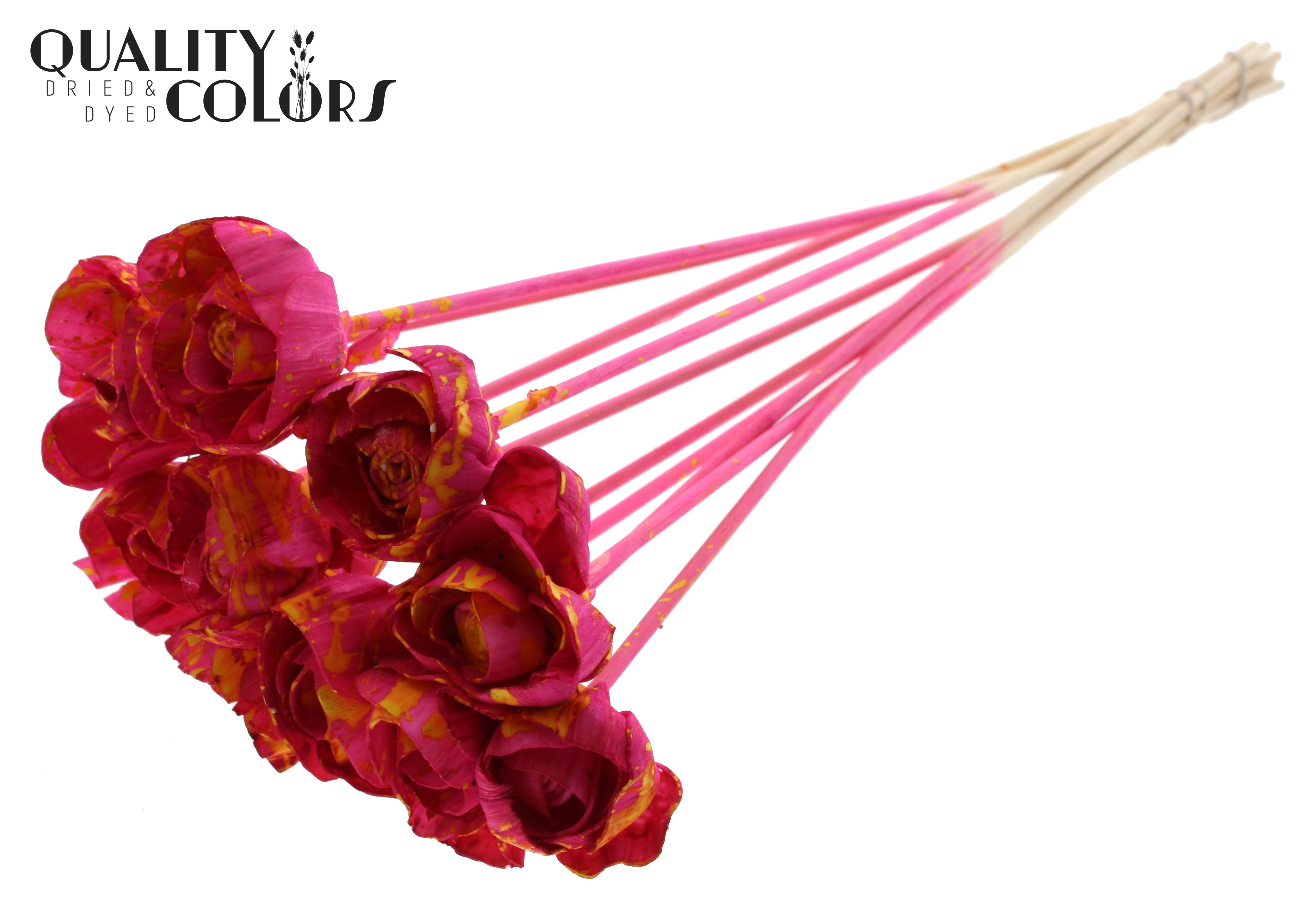 Shola Dear Holly Splashed Cerise Yellow 50cm