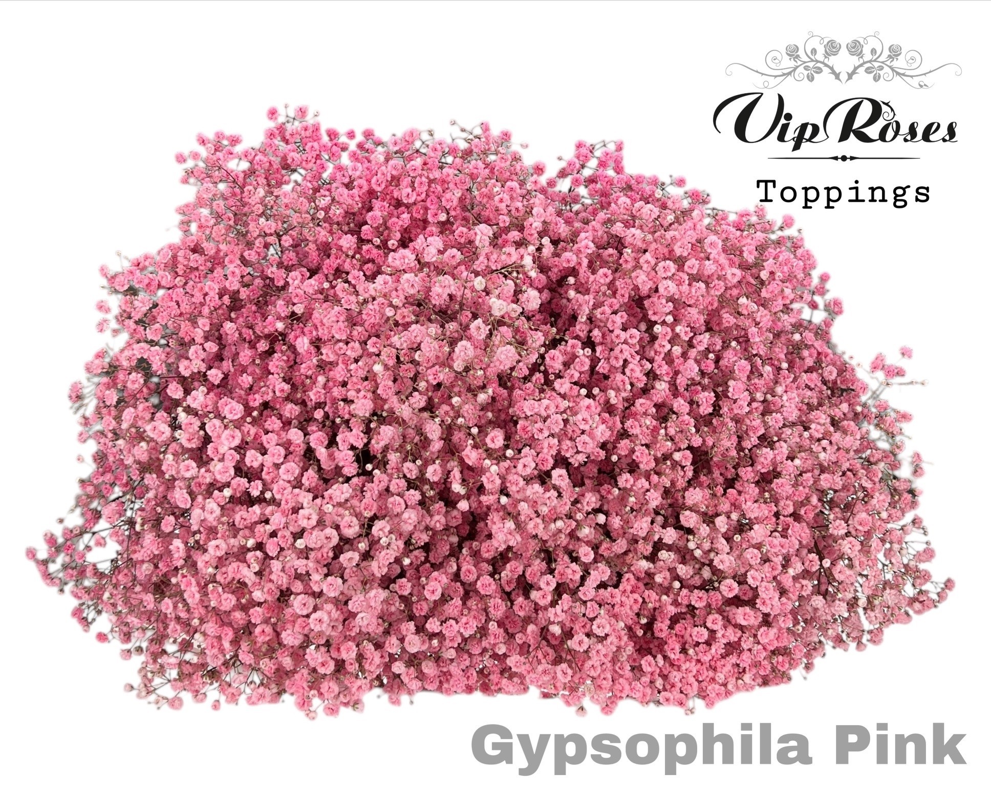 Gyps Pa Pink 80 cm