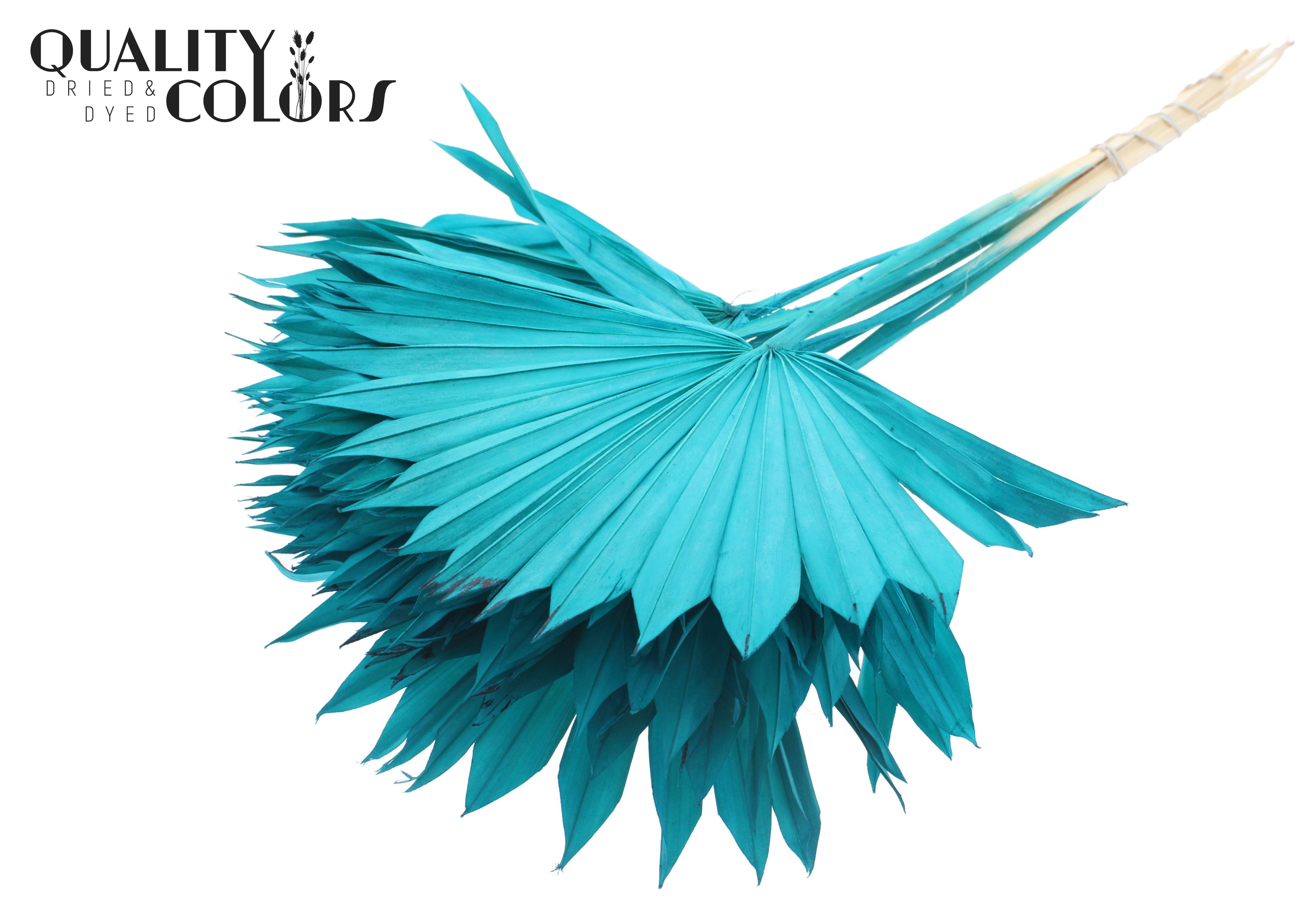 Palm Sun Intense Turquoise 50cm