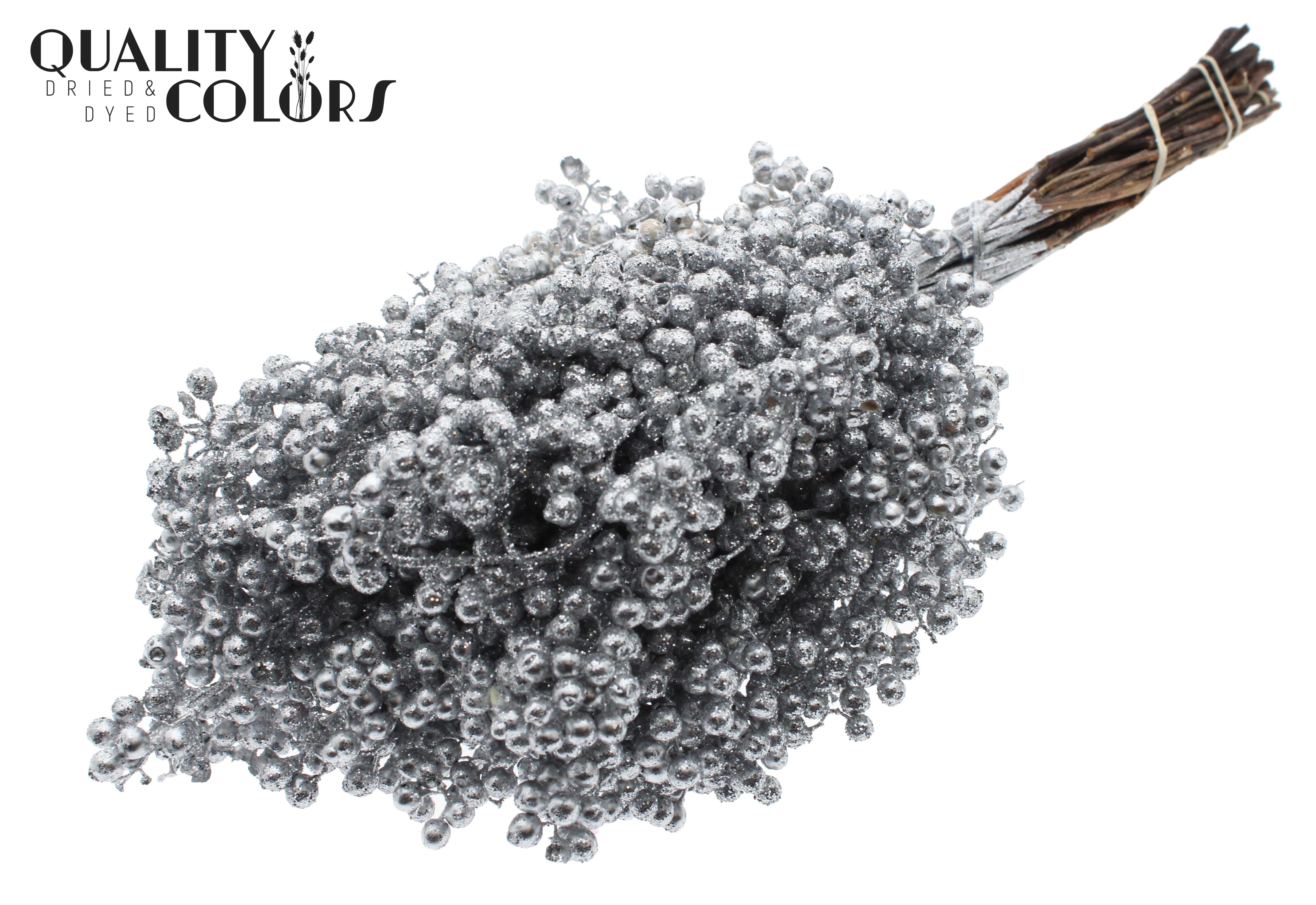 Schinus Mollis Silver + Glitter Per Bunch