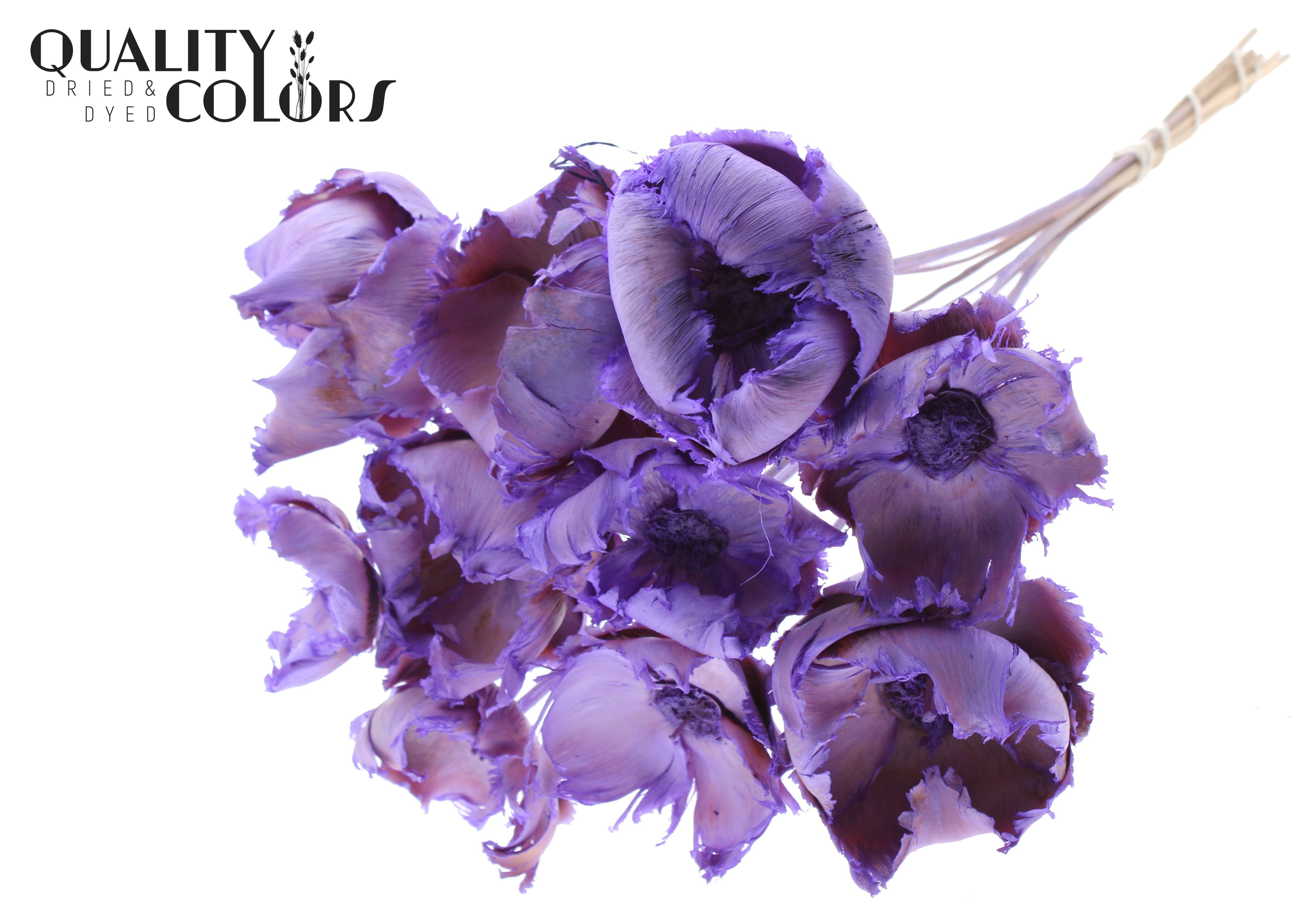Palm Cup Intense Purple 50cm