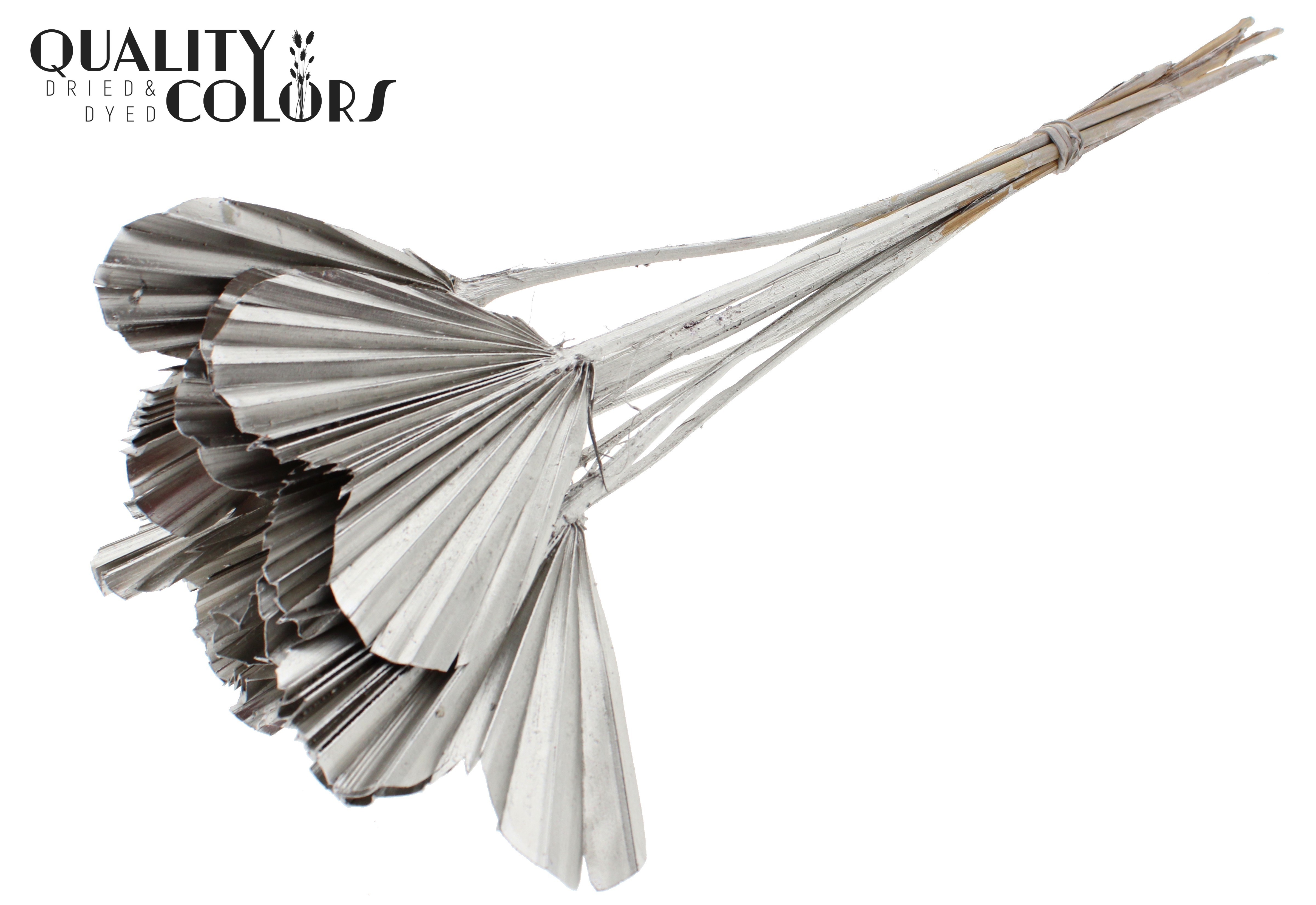 Palm Spear Heart Platinum 45cm