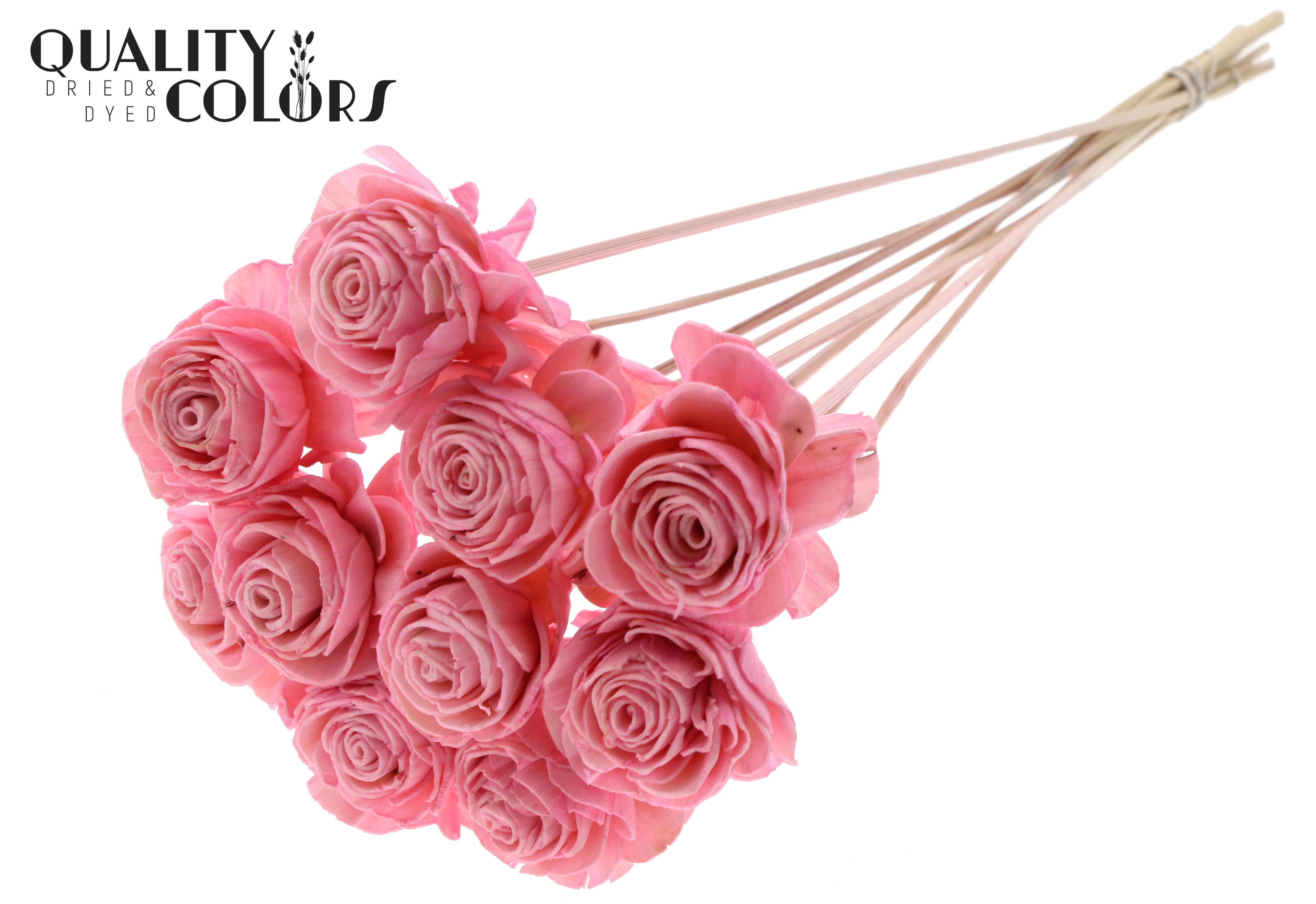 Shola Beauty Rose Light Pink 50cm