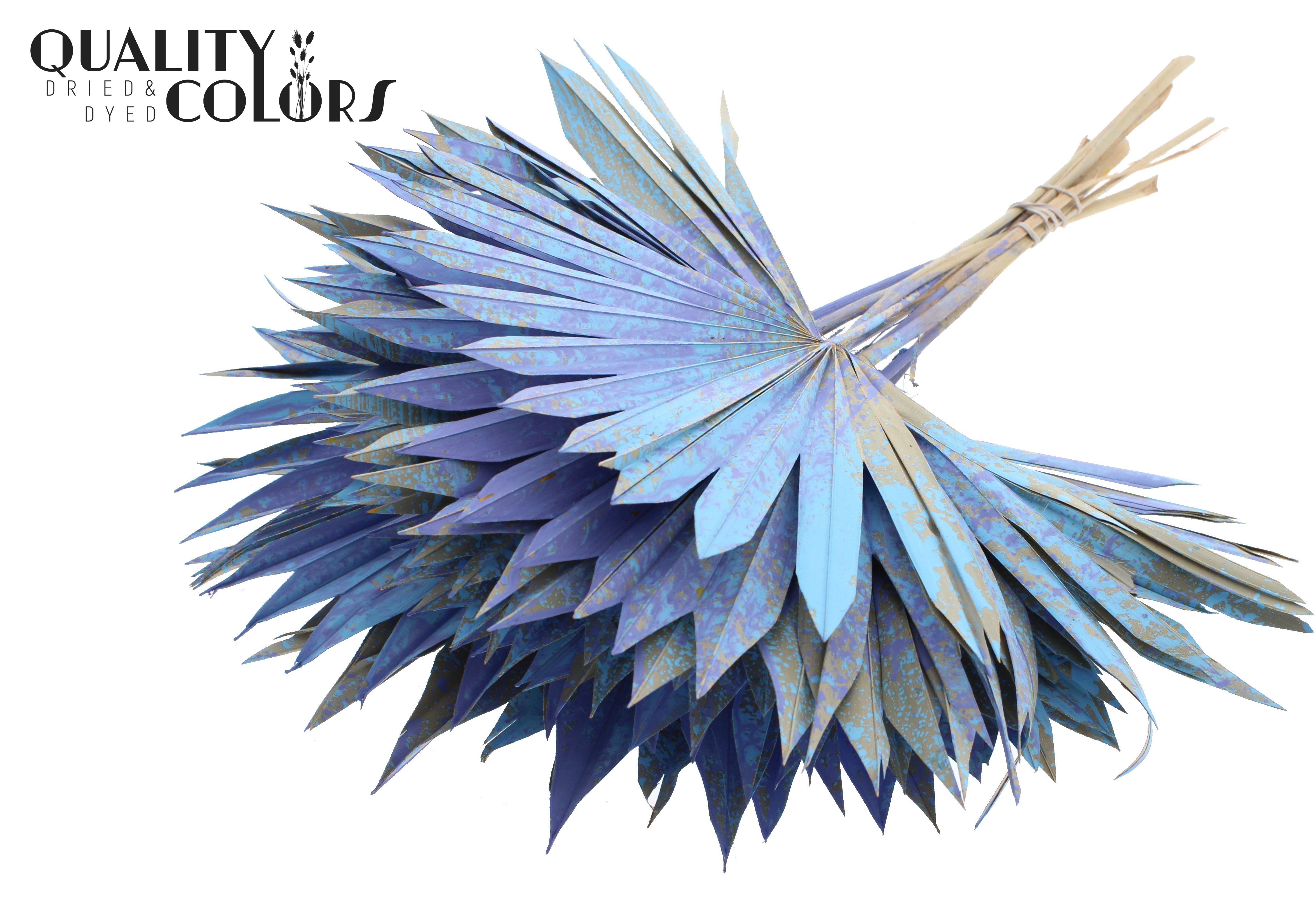 Palm Sun Multicolour Light Blue 50cm