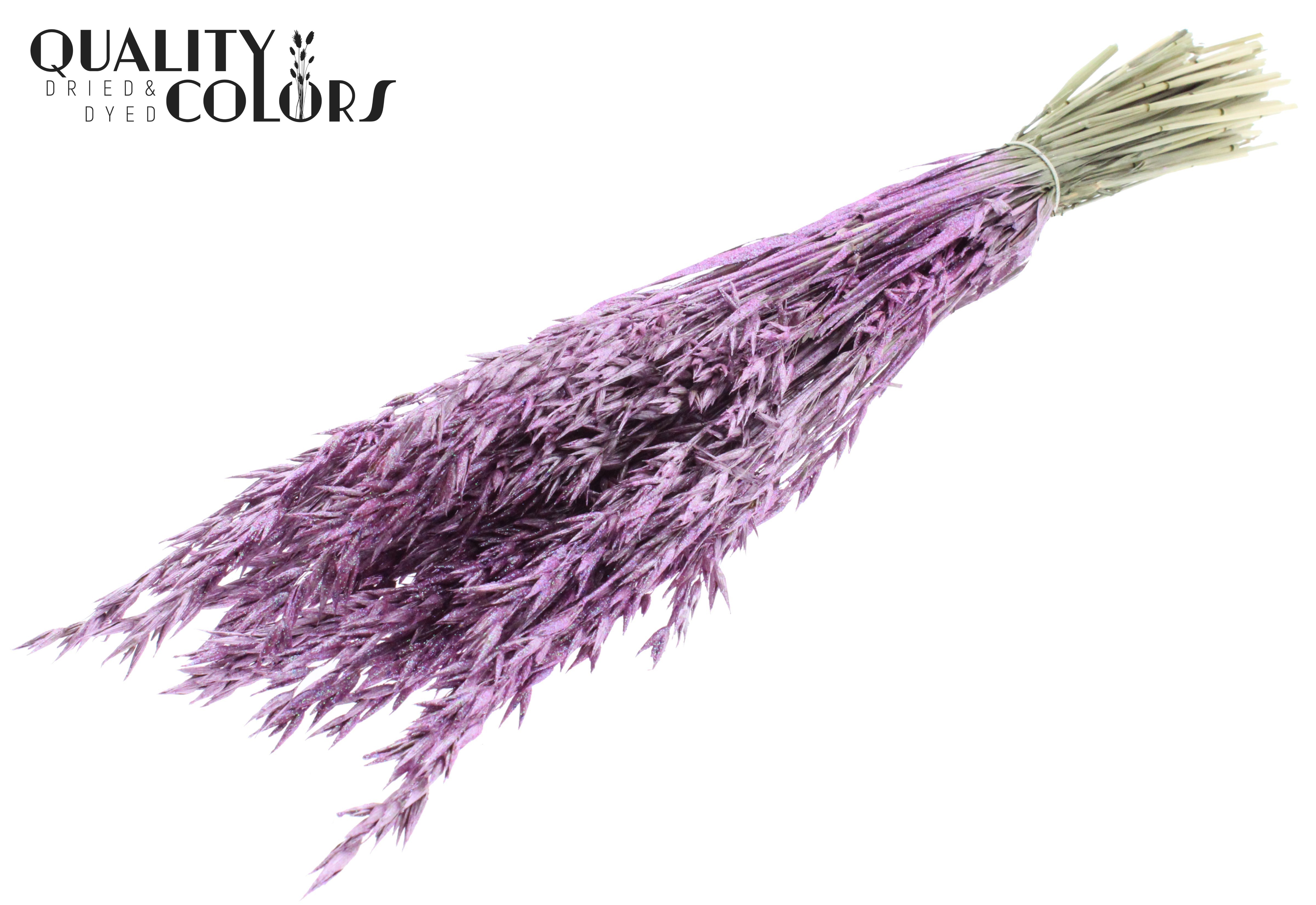 Avena Metallic Pink + Glitter Per Bunch 60cm