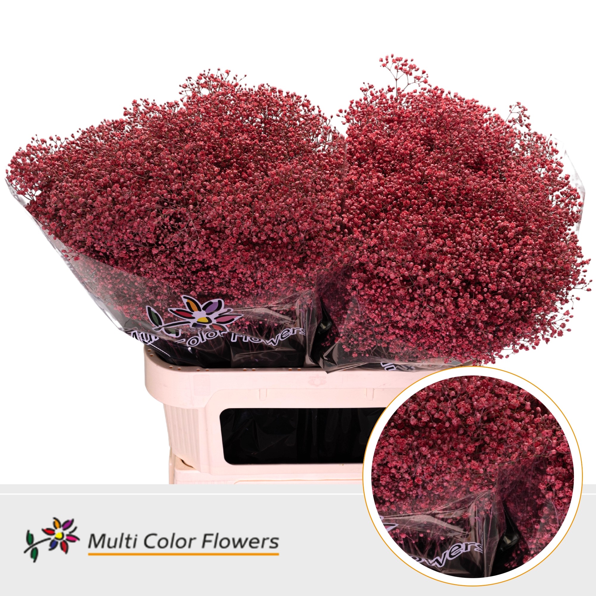 Gypsophila Painted Million Star Coral 80cm