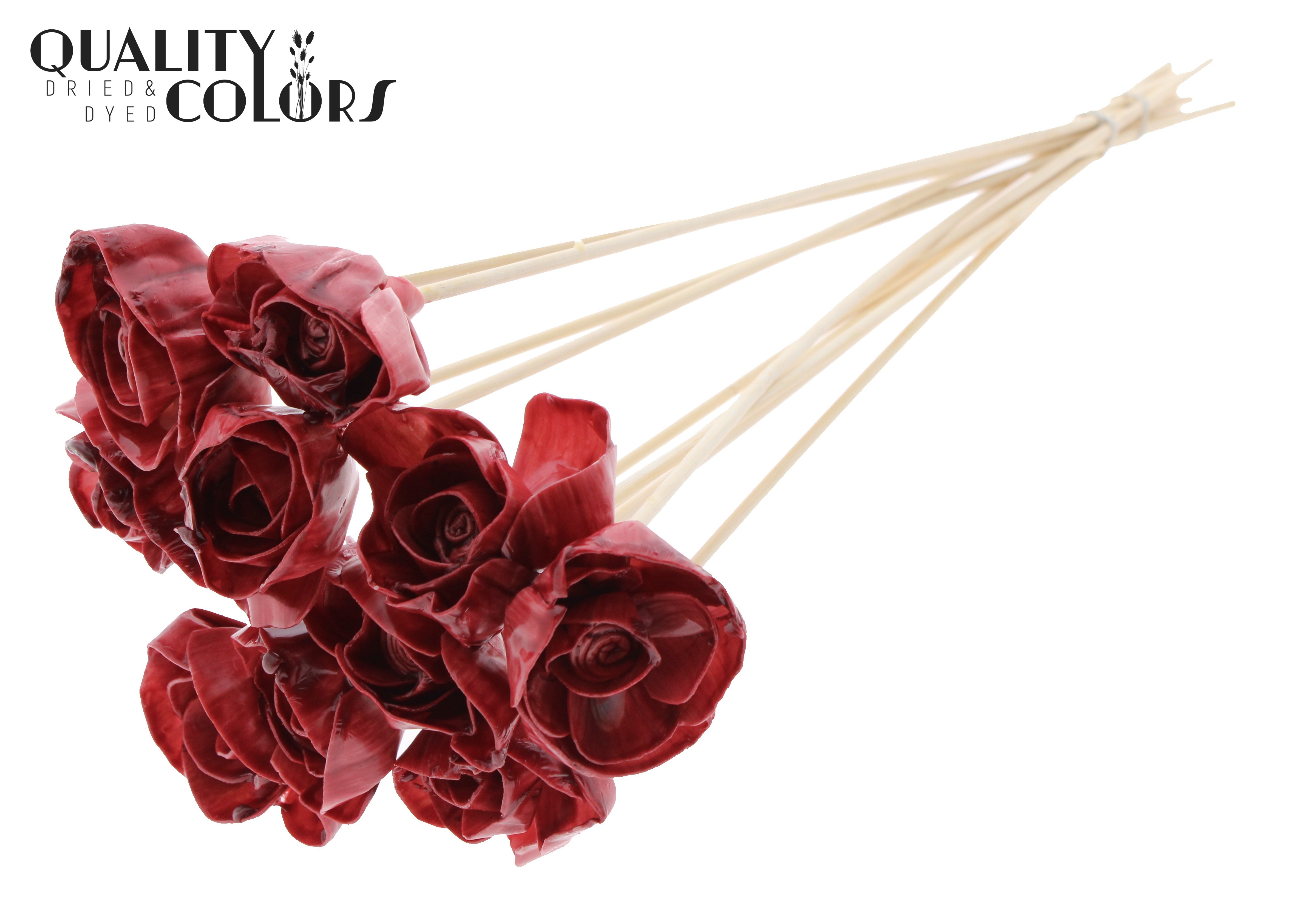 Shola Dear Holly Wax Burgundy 50cm