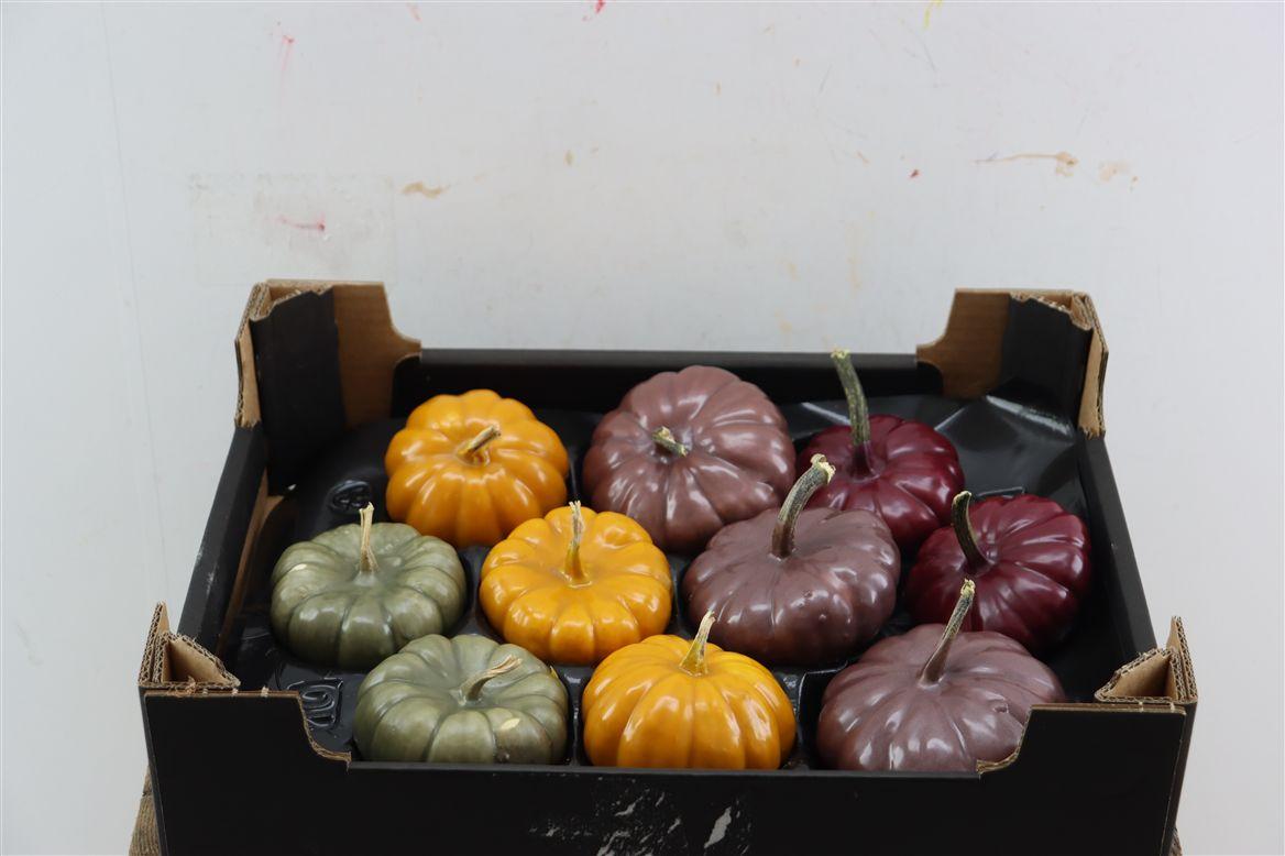 Wax Sierfruit Baby Boo Autumn Mix