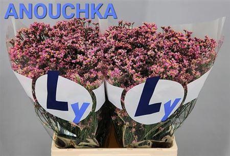 Lim Sin Anouchka Dia