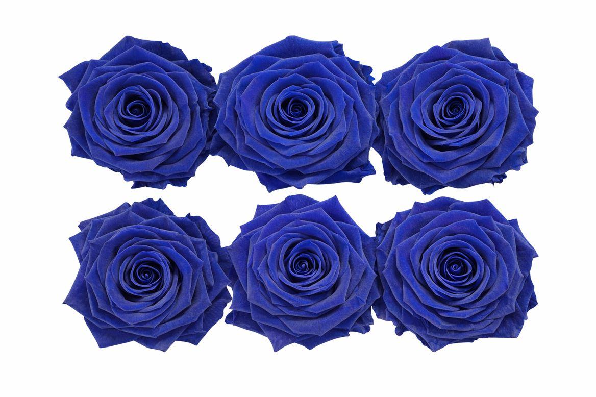 Ro Pres Classic Blue