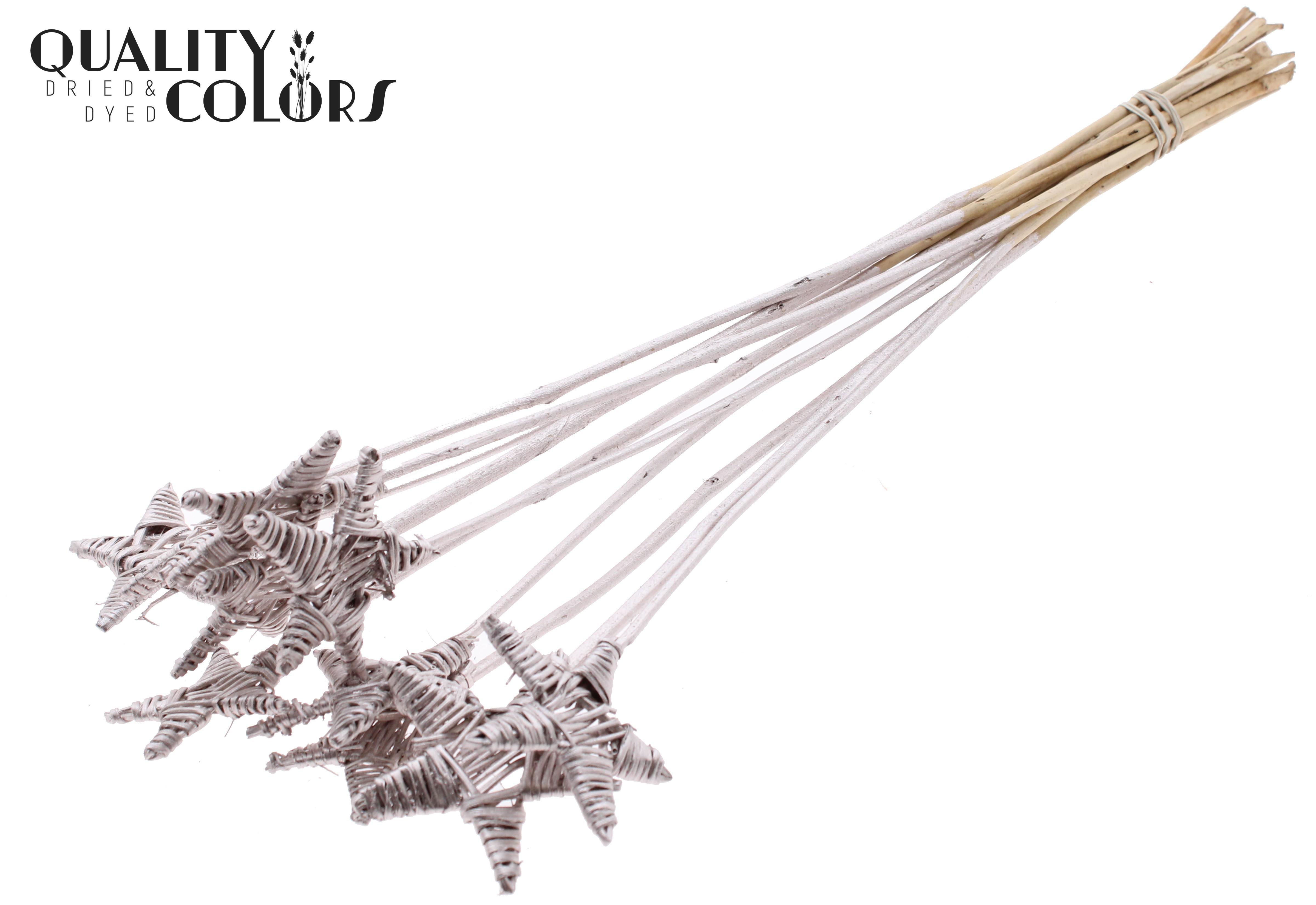 Lata Star Champagne 50cm