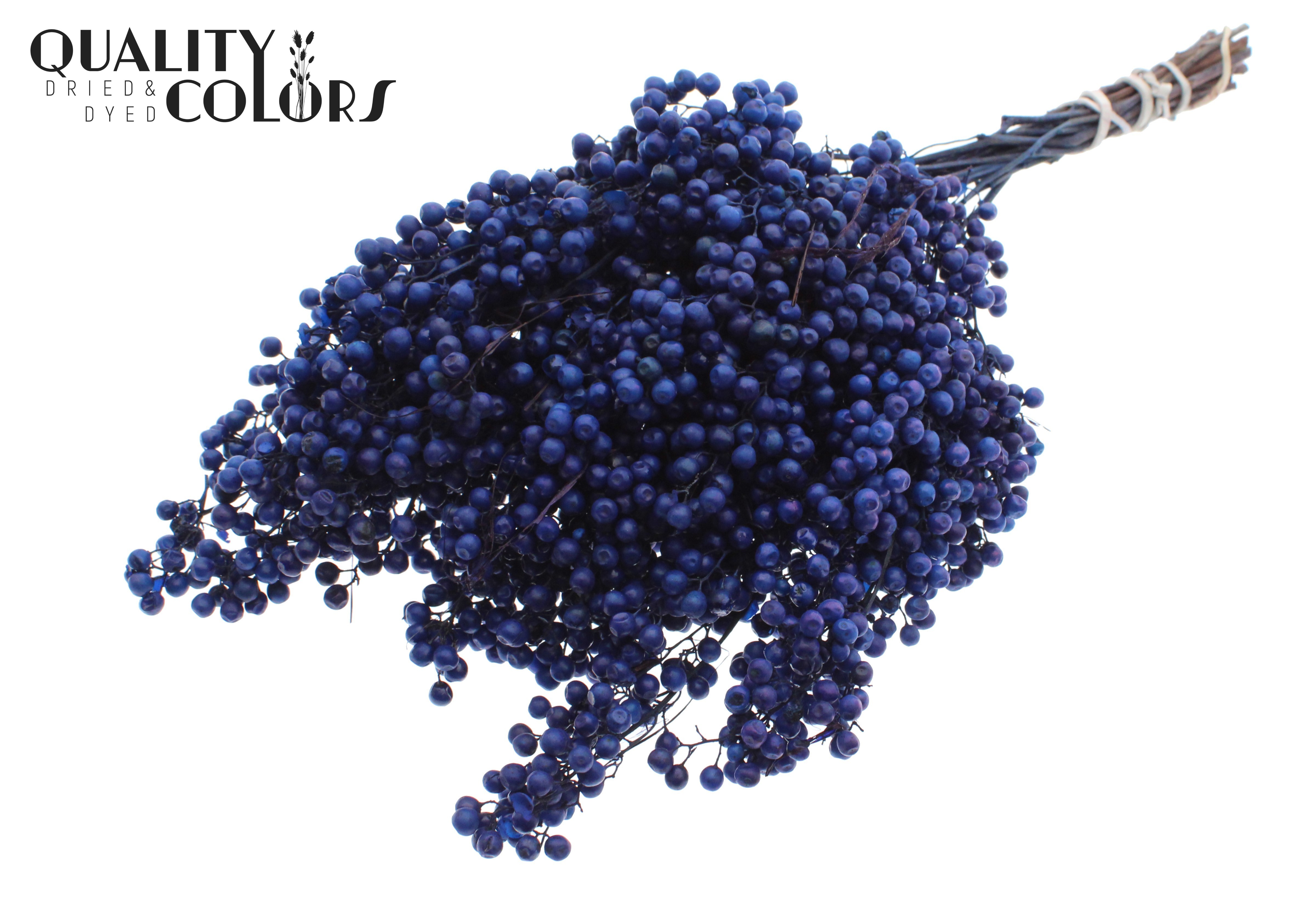 Schinus Mollis Dark Blue Per Bunch