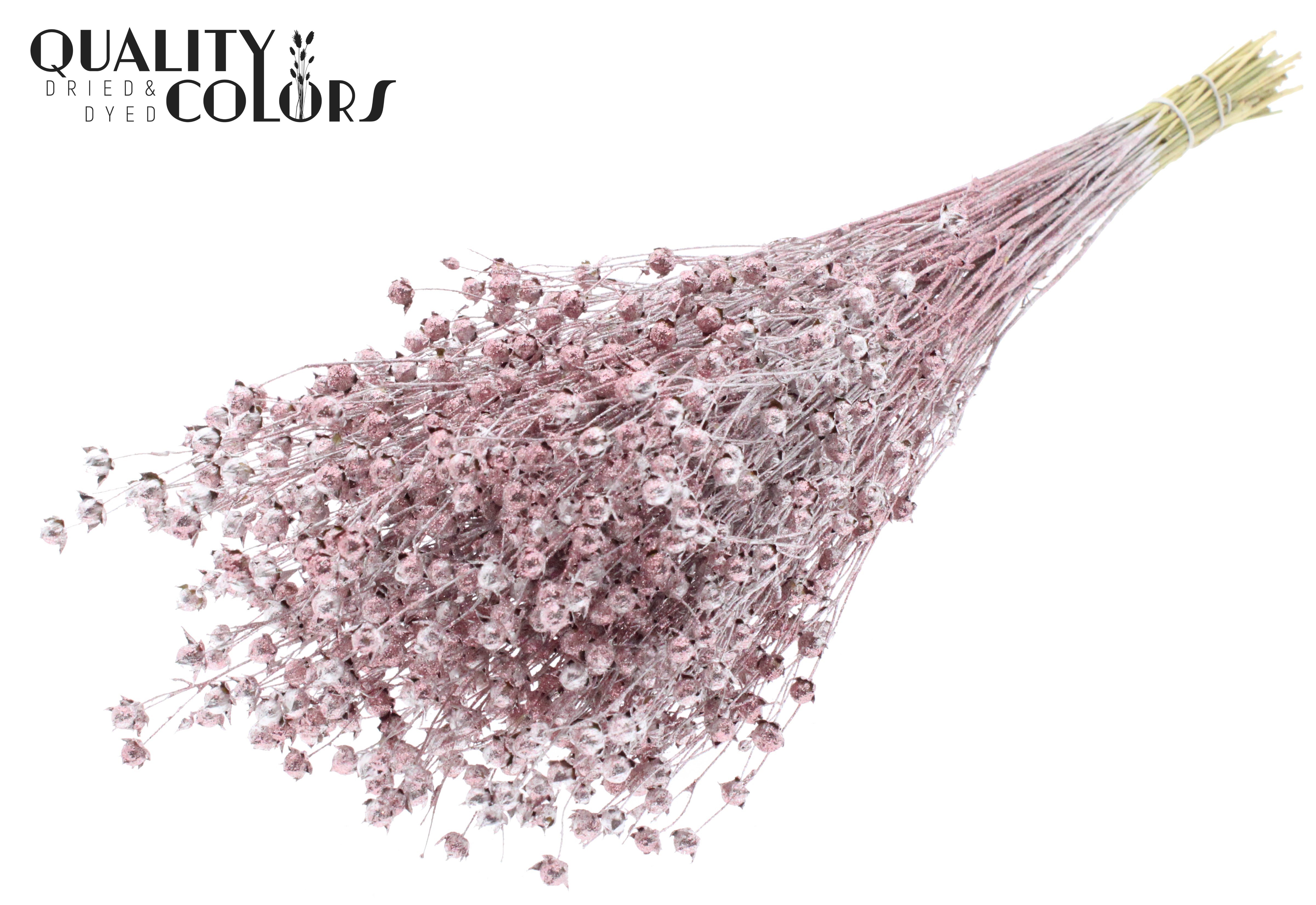 Lino Flax Champagne + Glitter Per Bunch 50cm