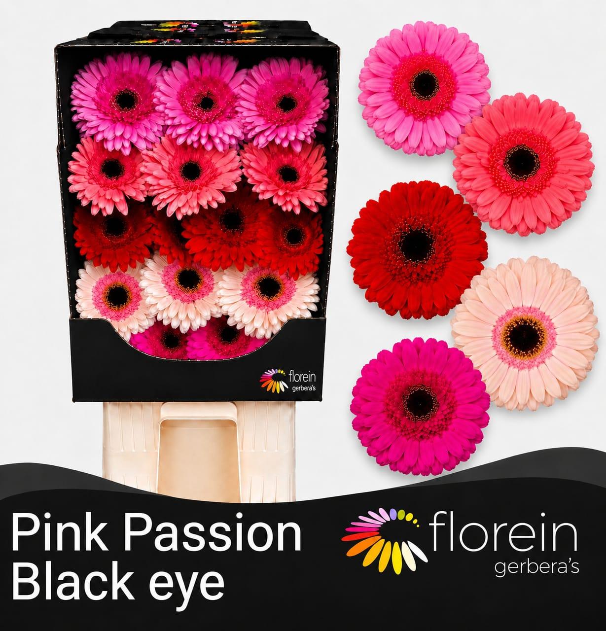 Ge Gr Pink & Passion Mix Diamond X45 (black Eye)