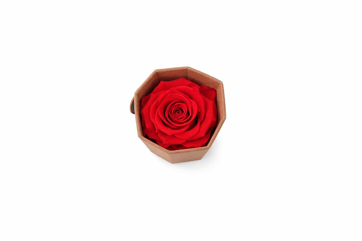 Ro Pres Medium Scarlet
