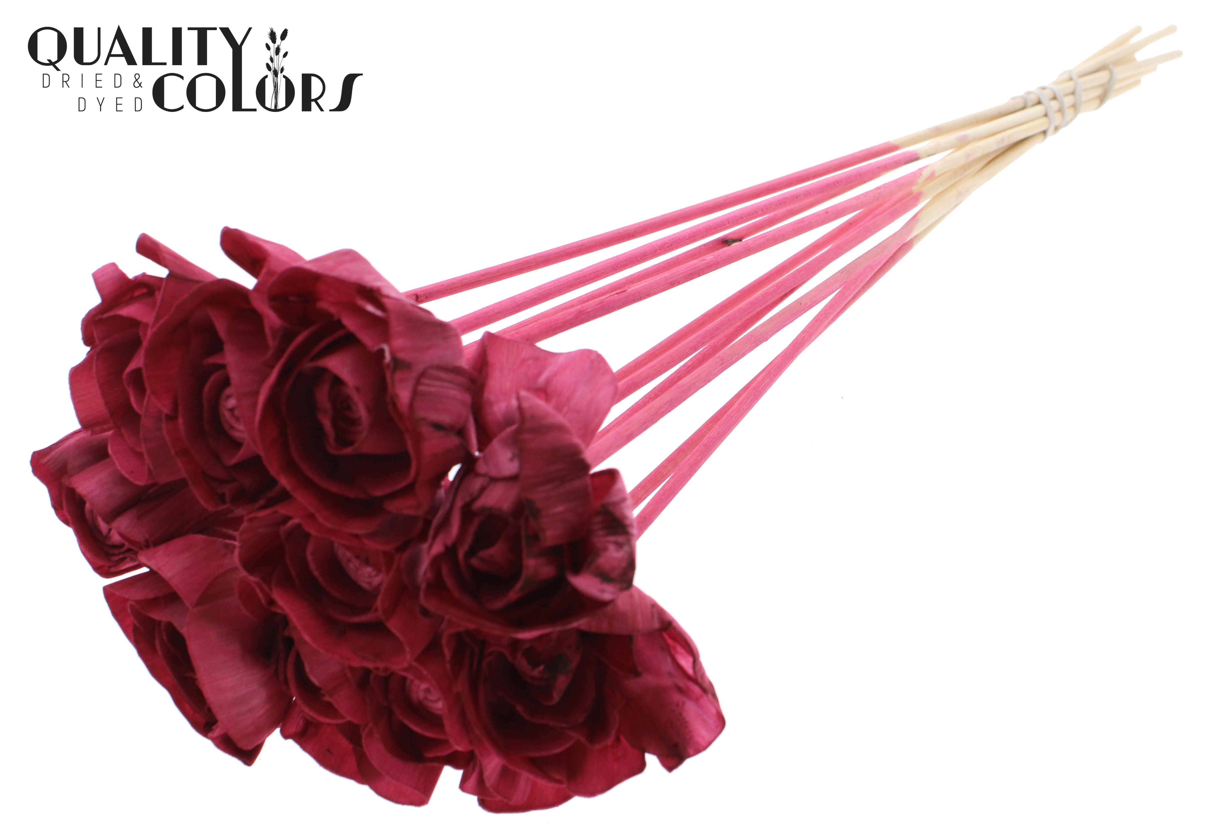 Shola Dear Holly Burgundy 50cm