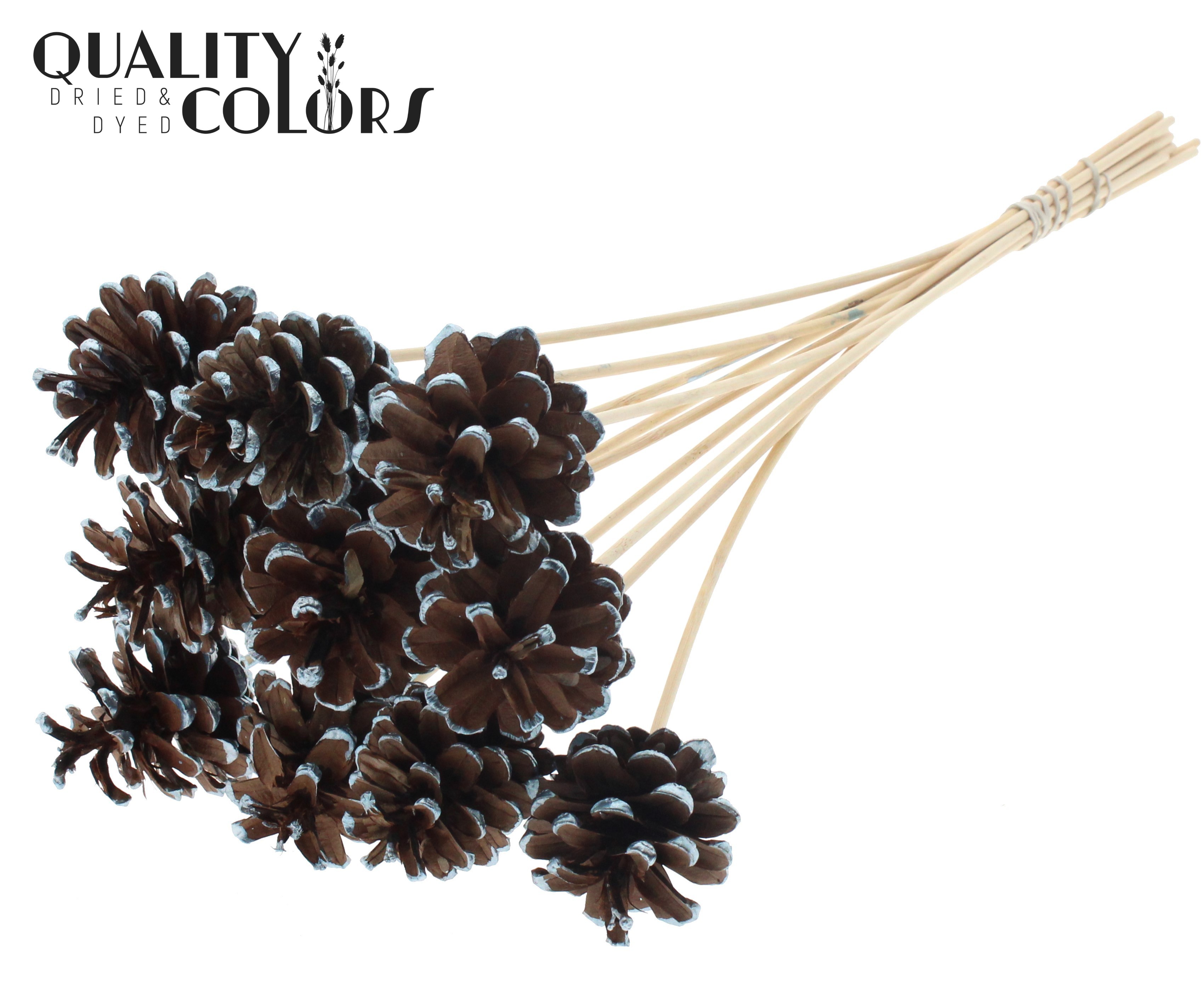 Pine Cone Metallic Blue Tipped 50cm
