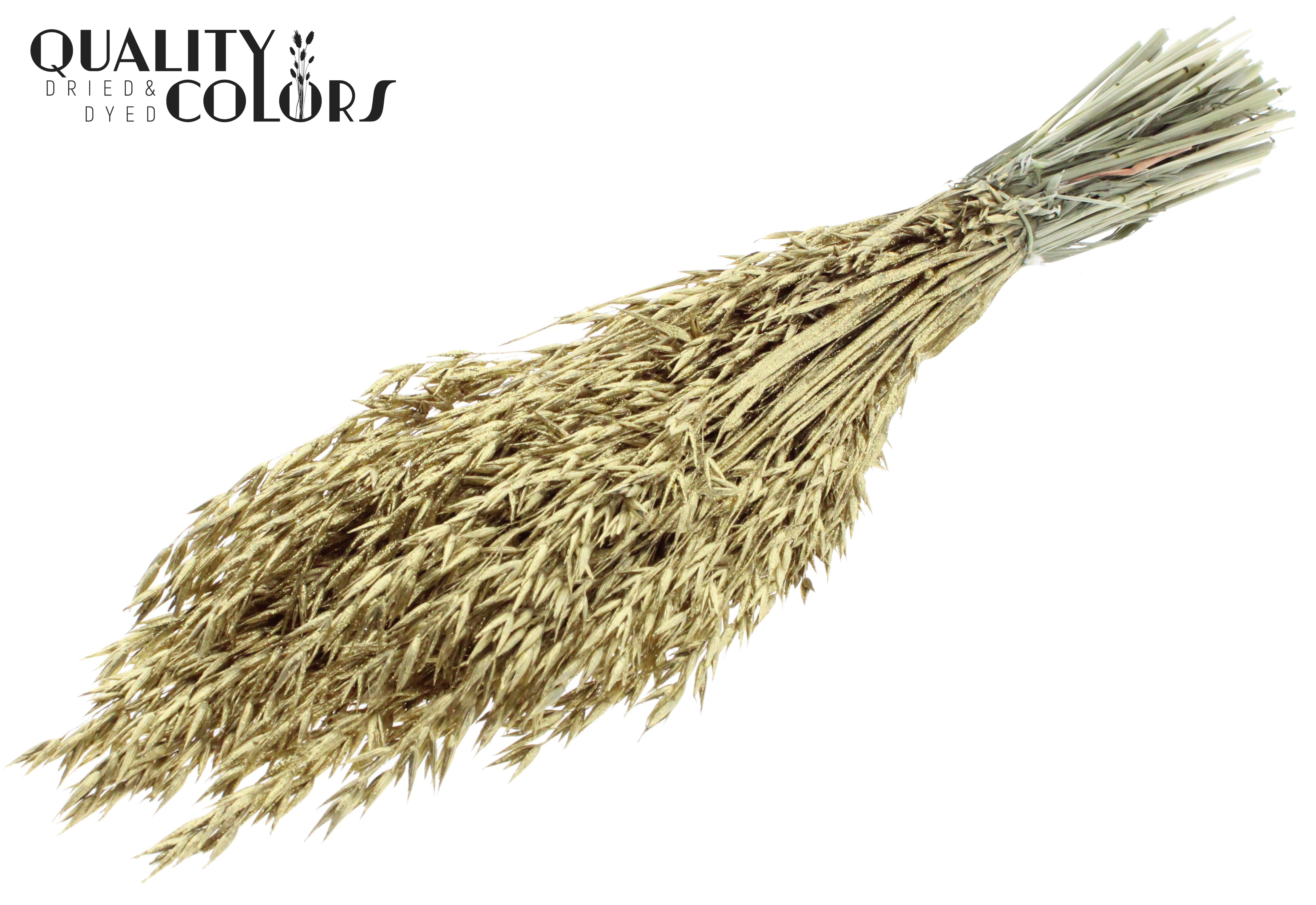 Avena Gold + Glitter Per Bunch 60cm