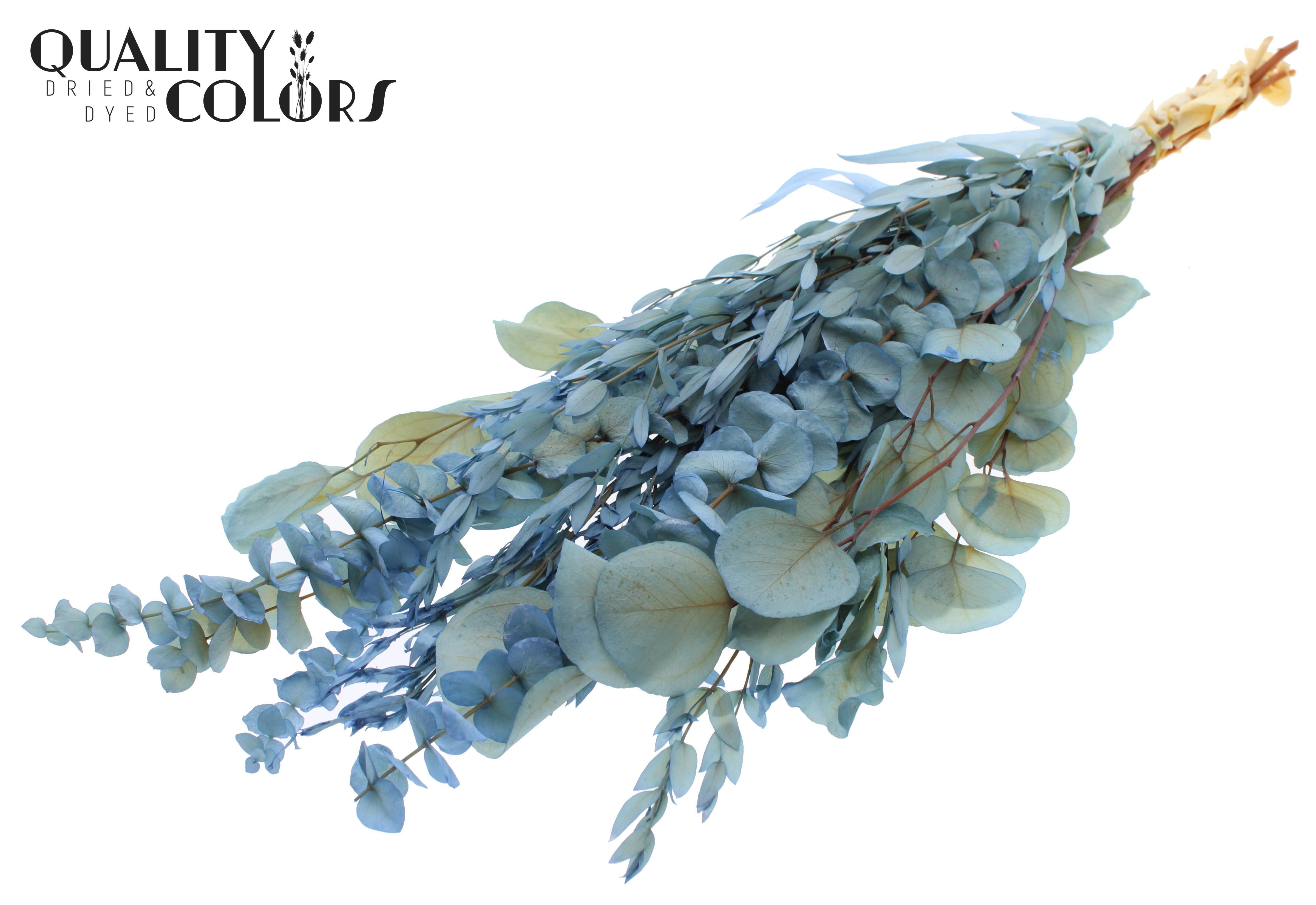 Eucalyptus Light Blue Mix Per Bunch 65cm 150gr.
