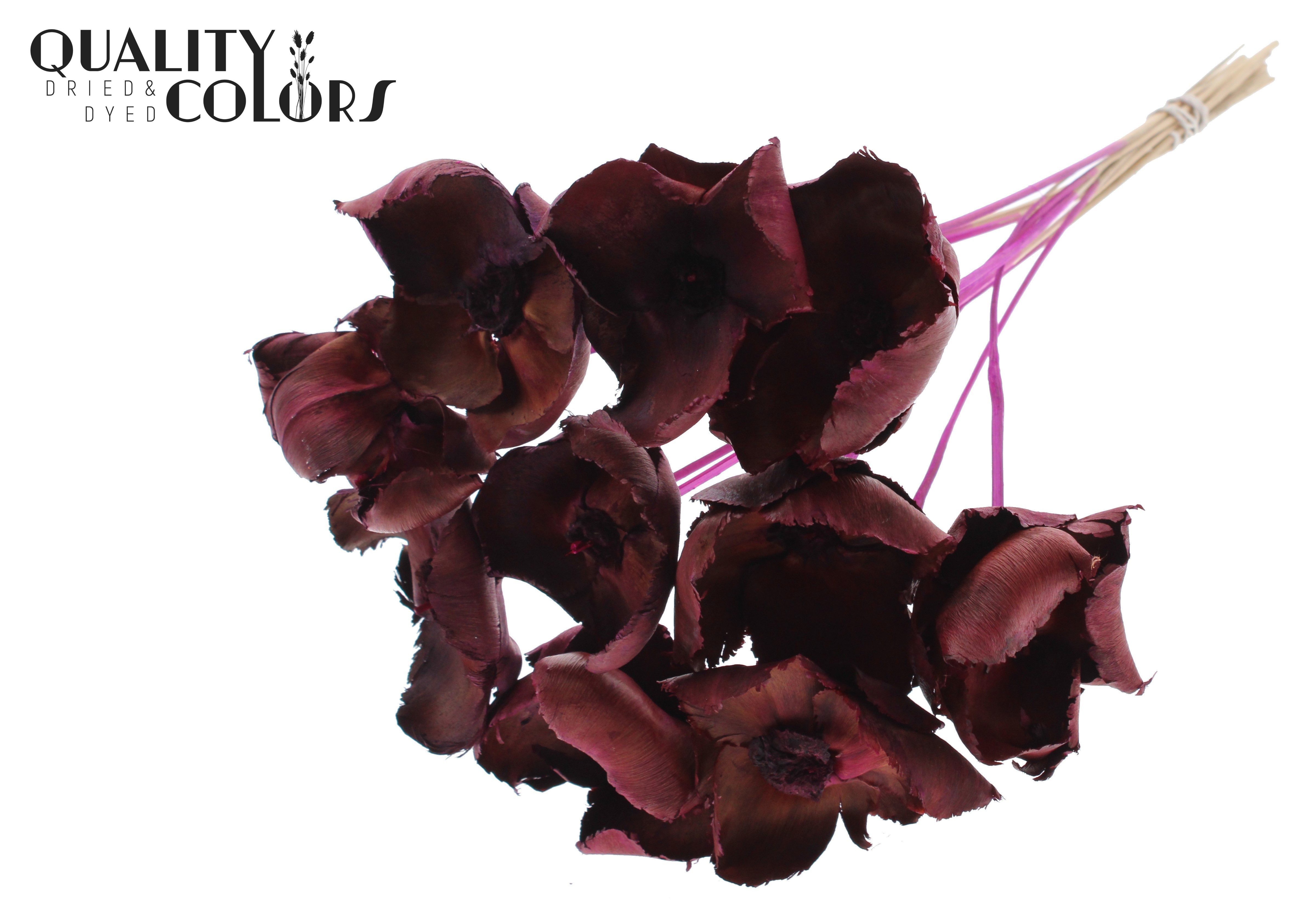 Palm Cup Lilac 50cm