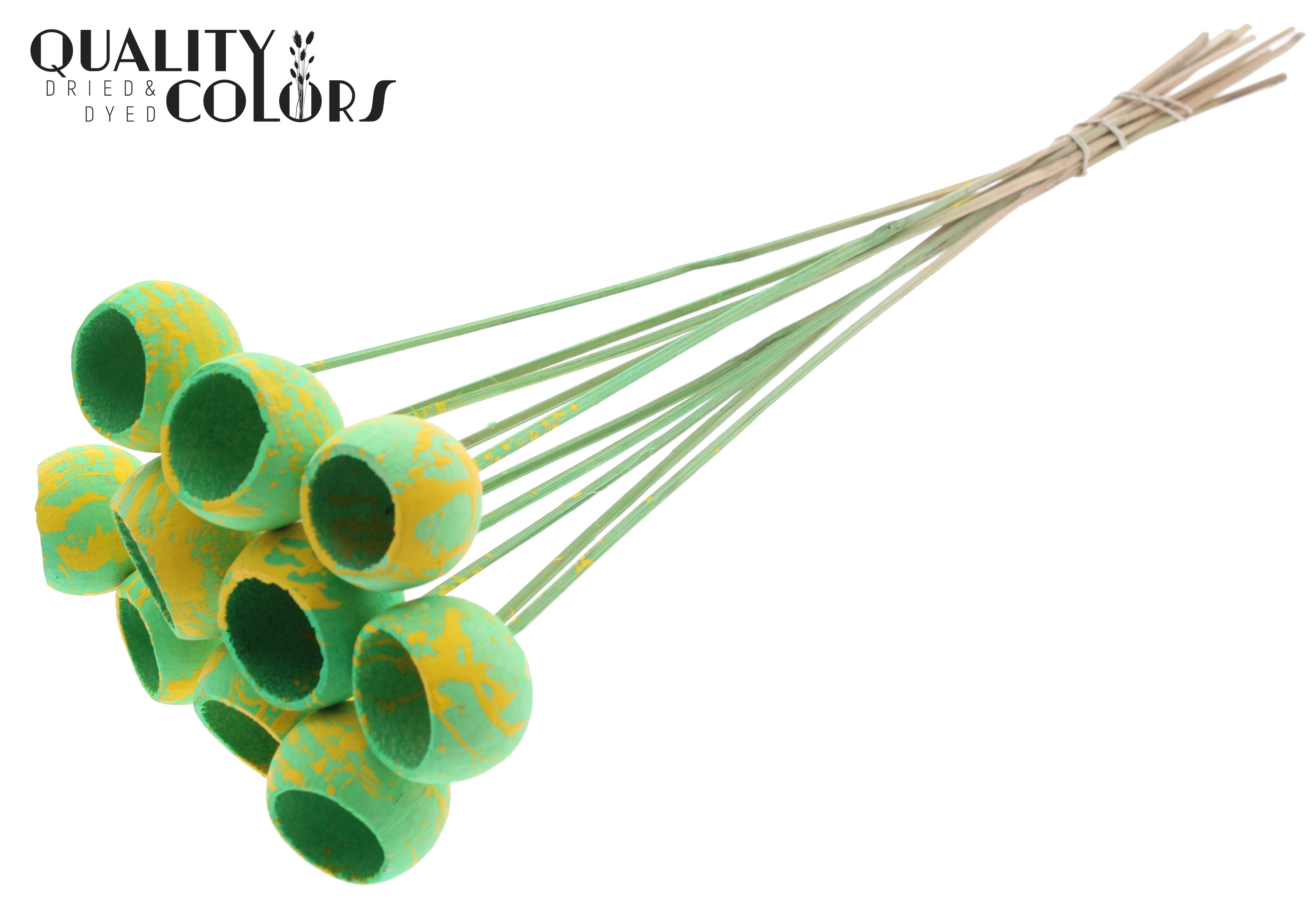 Bell Cup Splashed Mint Yellow 50cm