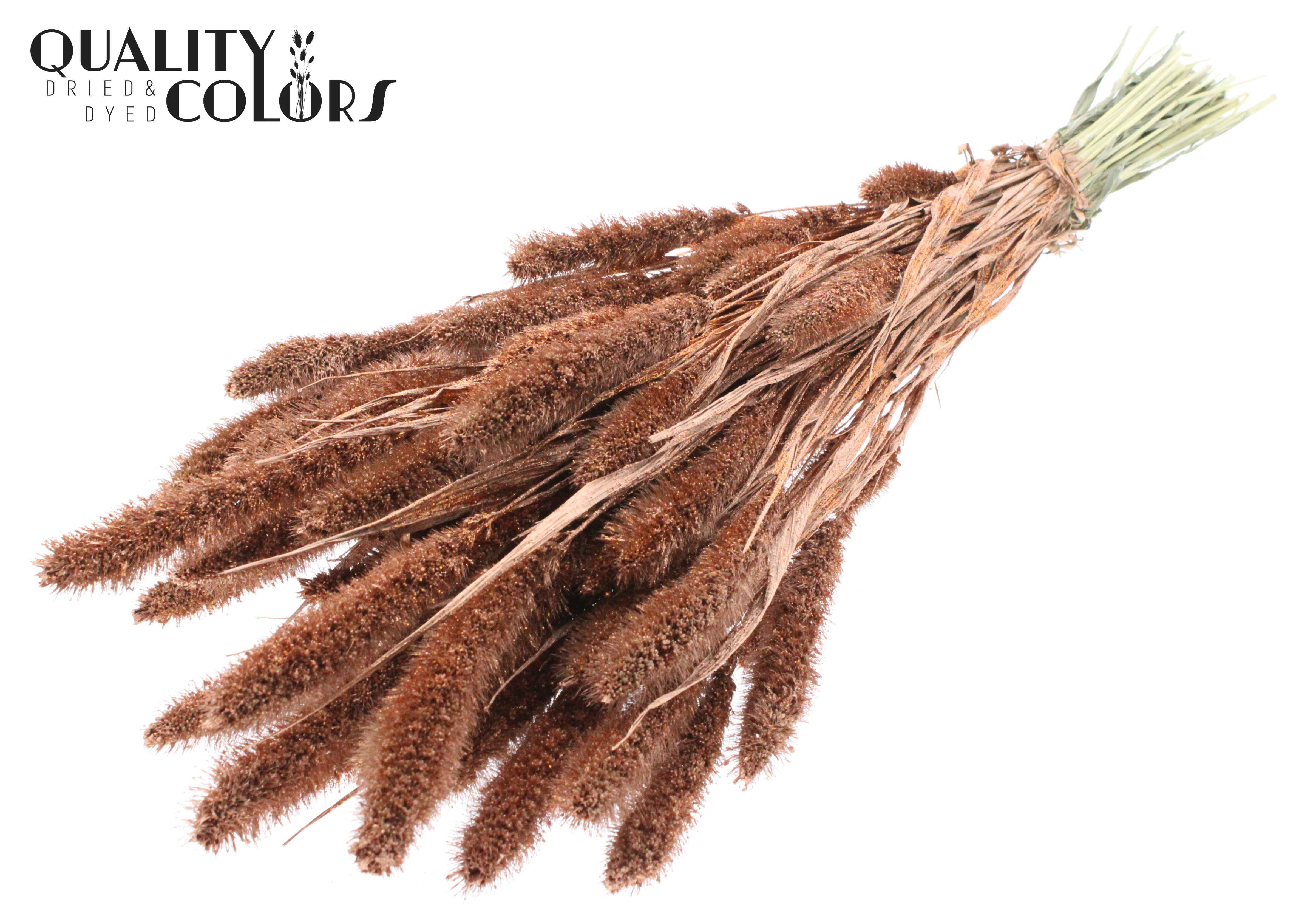 Setaria Copper + Glitter Per Bunch 70cm