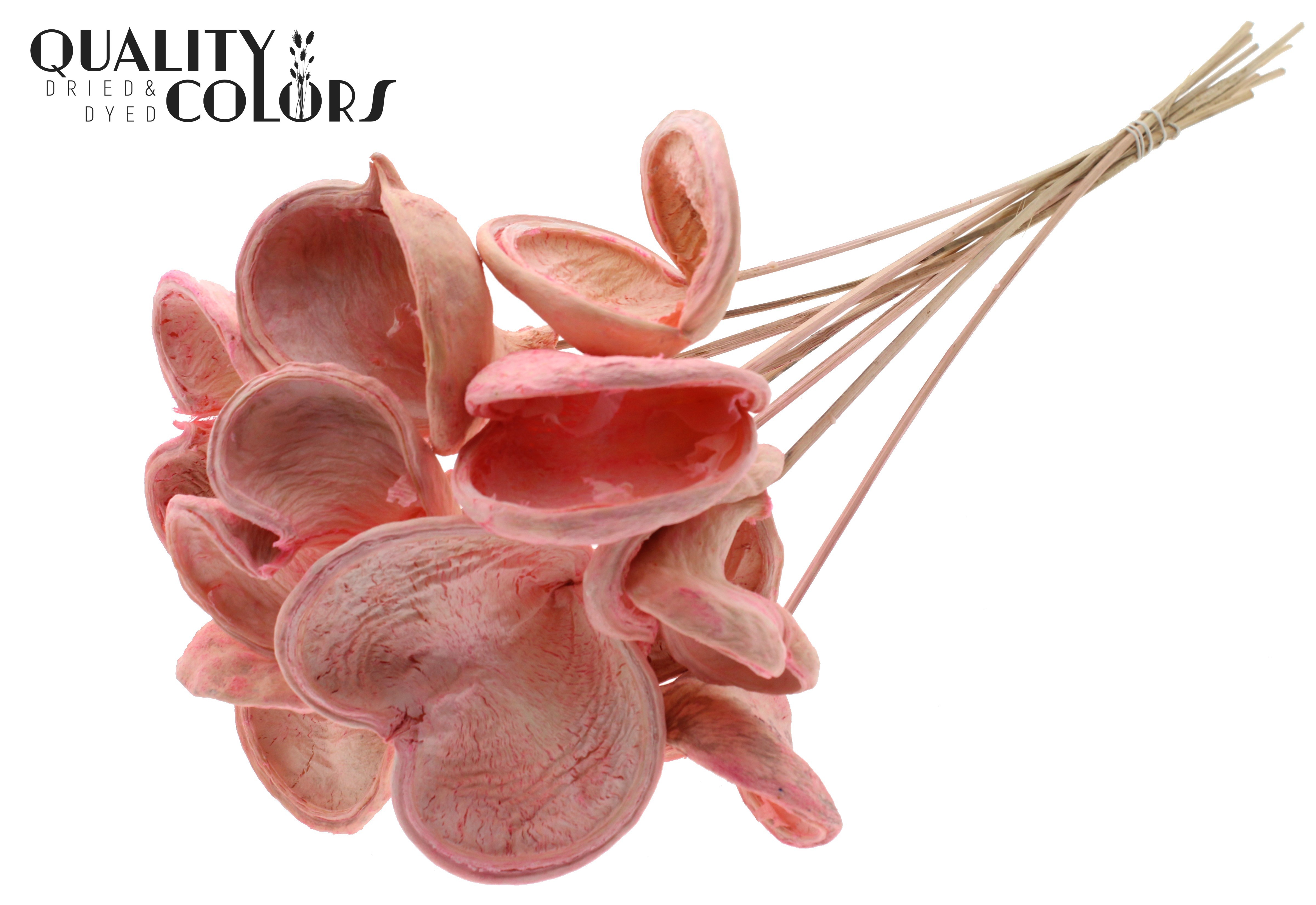 Badam Intense Light Pink 50cm