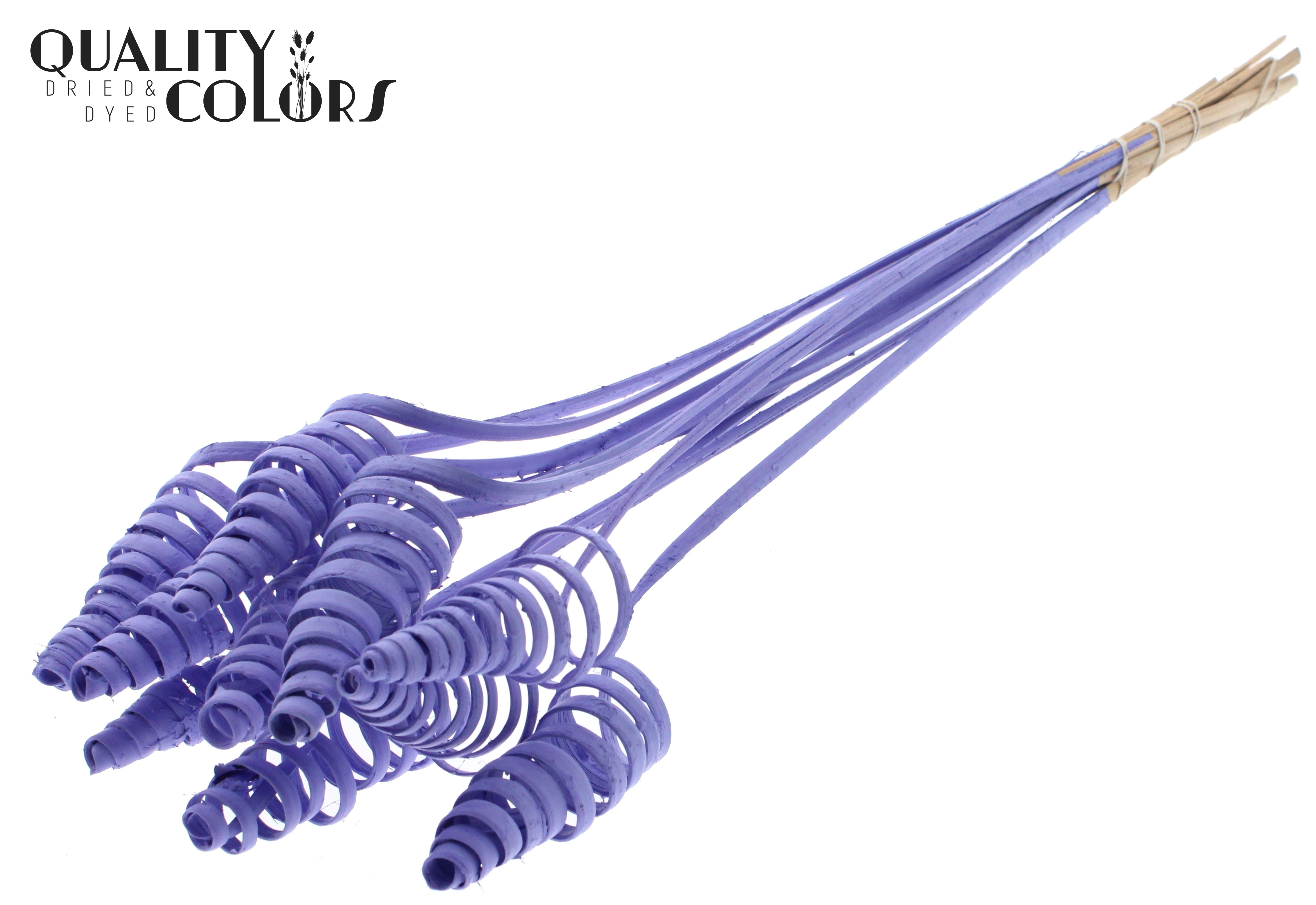 Cane Cone Milka 50cm