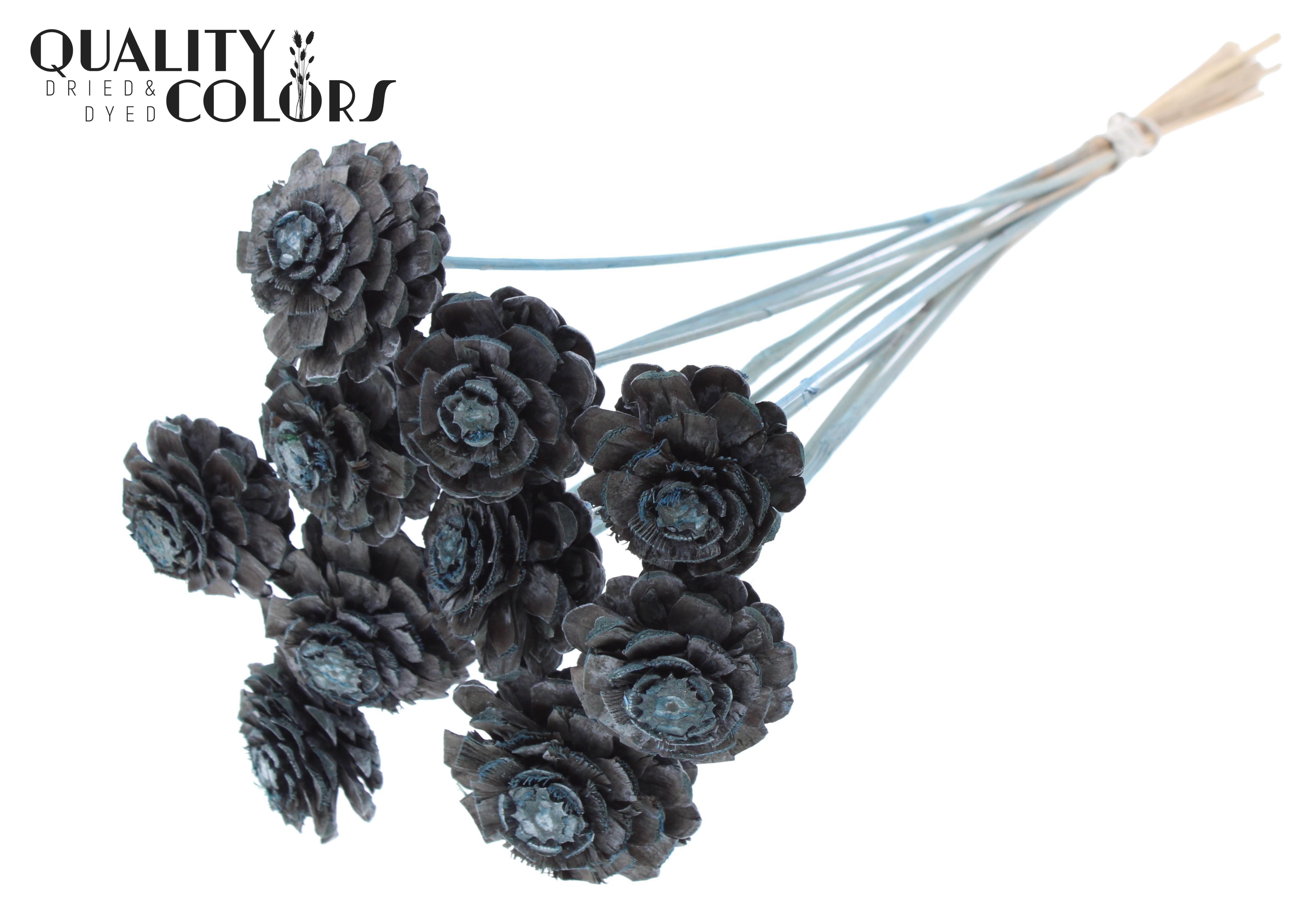 Pine Cone Frosted Light Blue 50cm