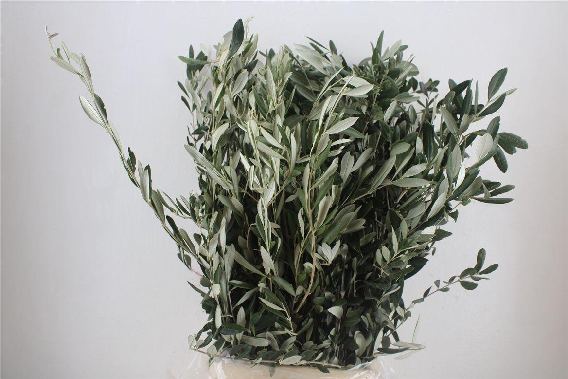 Olijf 300gr P Bunch