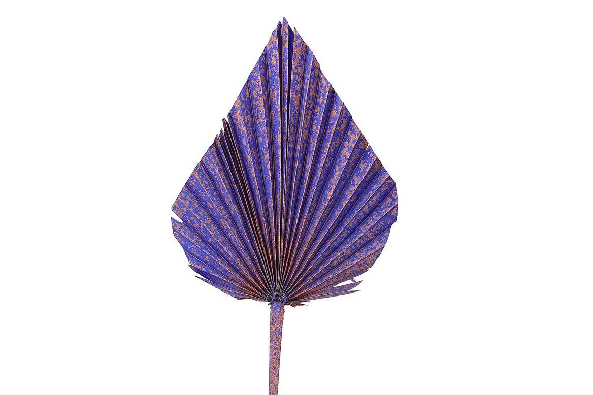 Dried Artz Palm Spear Xl Da Vinci P Stem