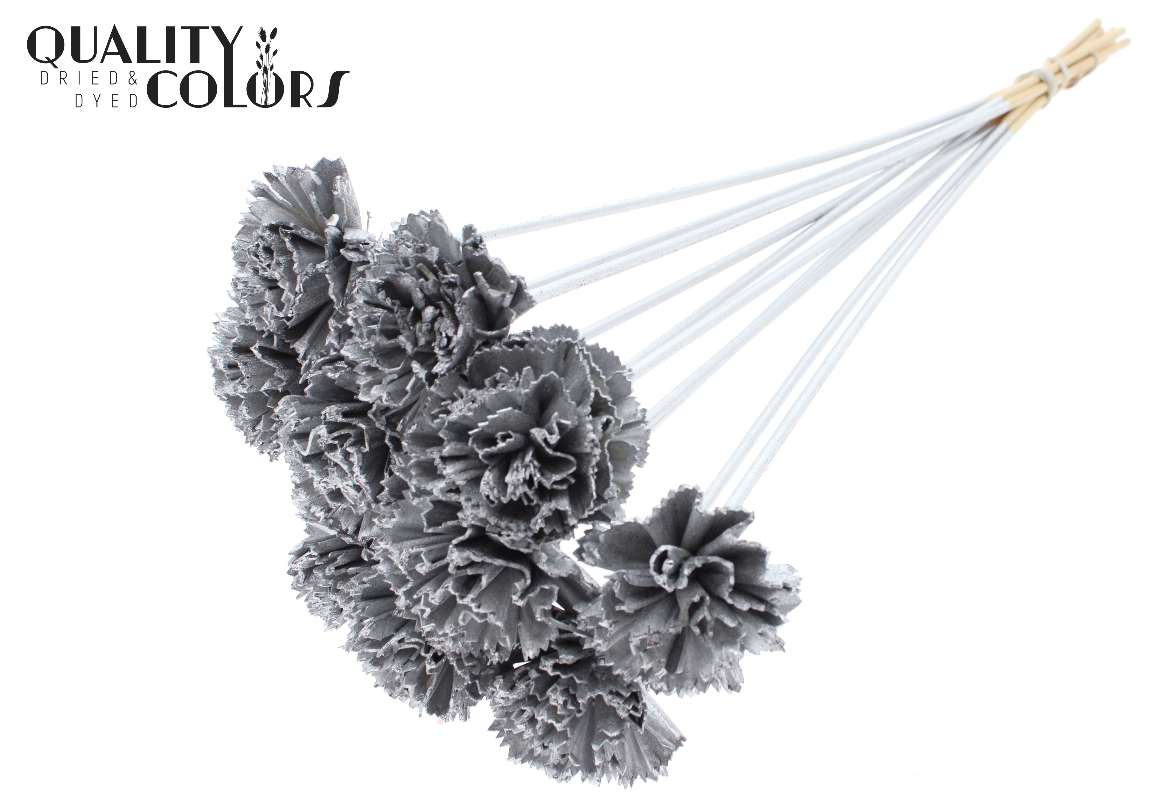Shola Karnish Flower Silver 50cm
