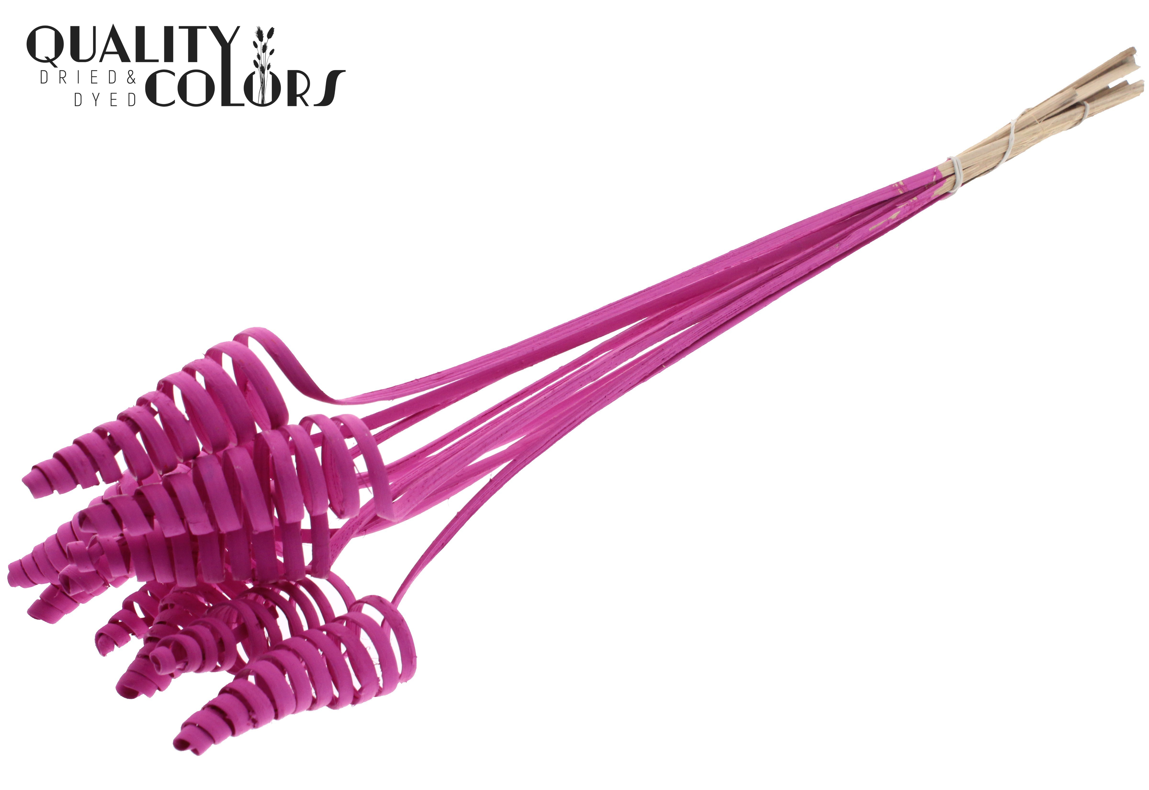 Cane Cone Cerise 50cm