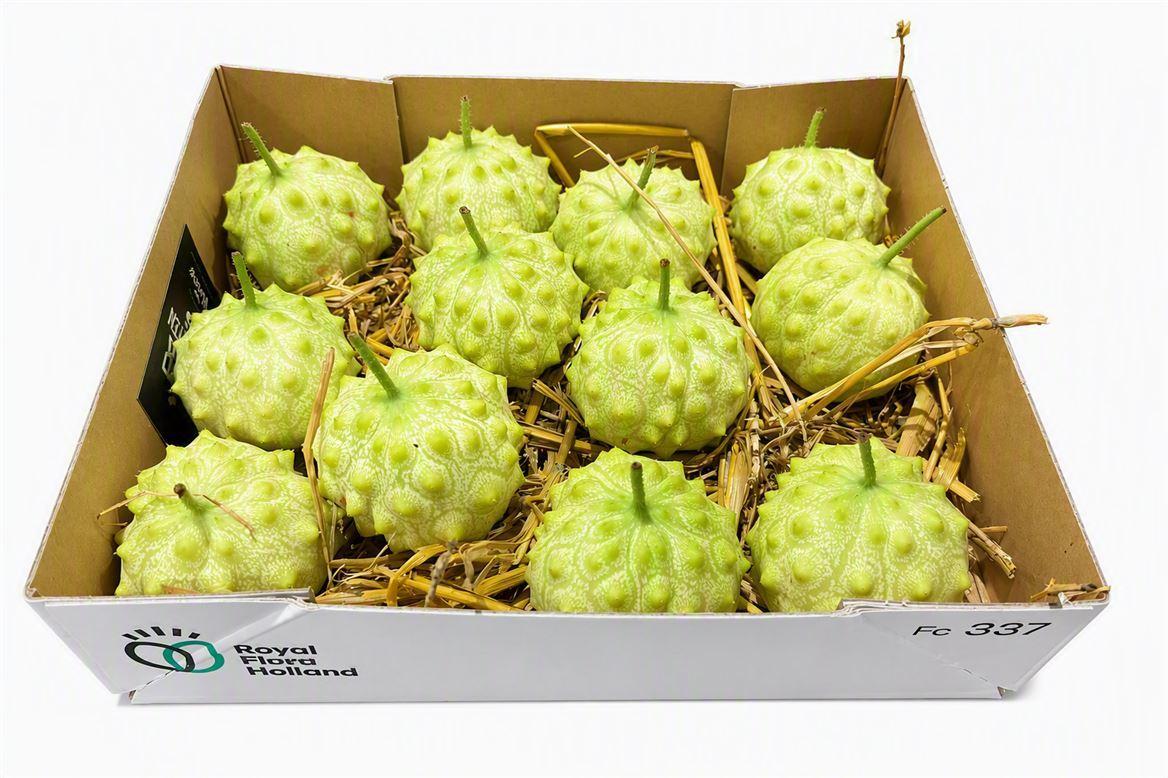 Sier Cucumis Kiwano Round P Box