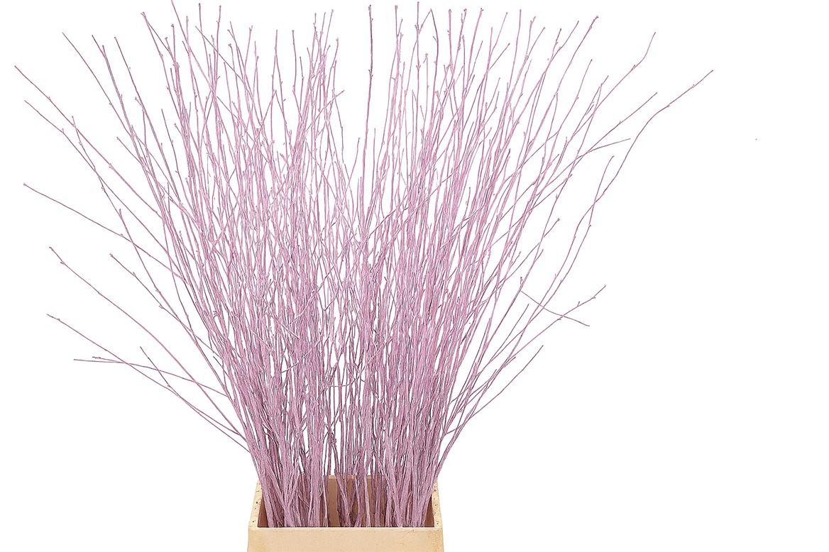 Berk 70cm Lichtroze Pbs