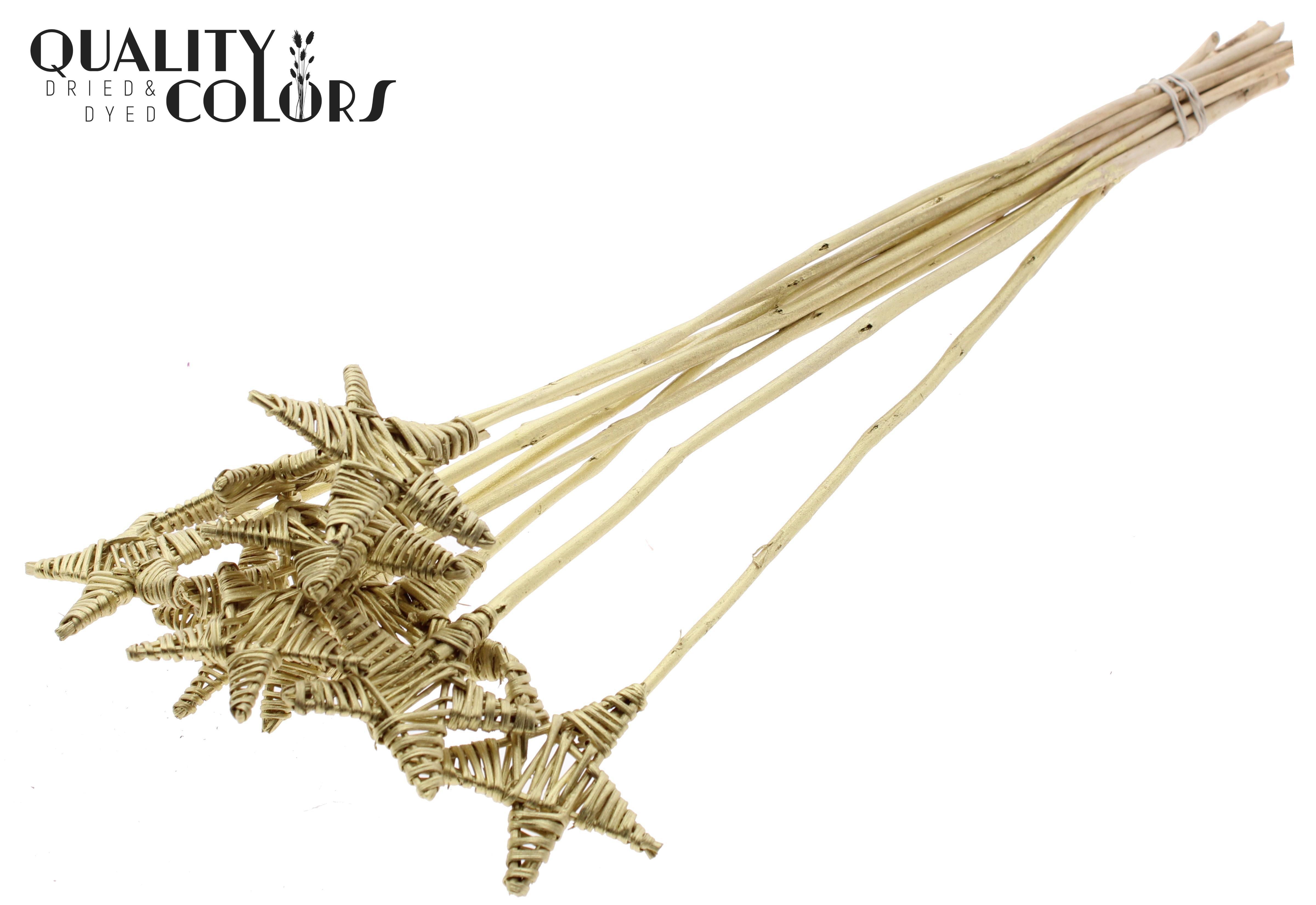 Lata Star Gold 50cm