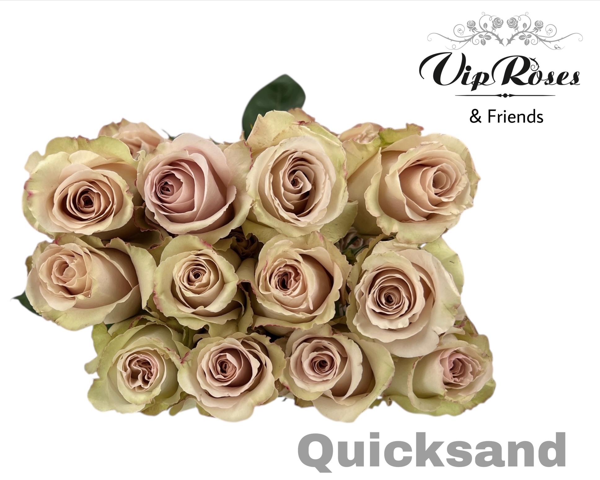 R Gr Quicksand